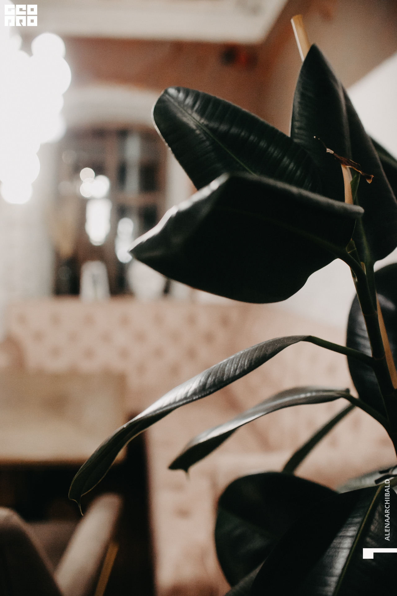 2022-03-06 19-00-24_alenaarchibald113.JPG