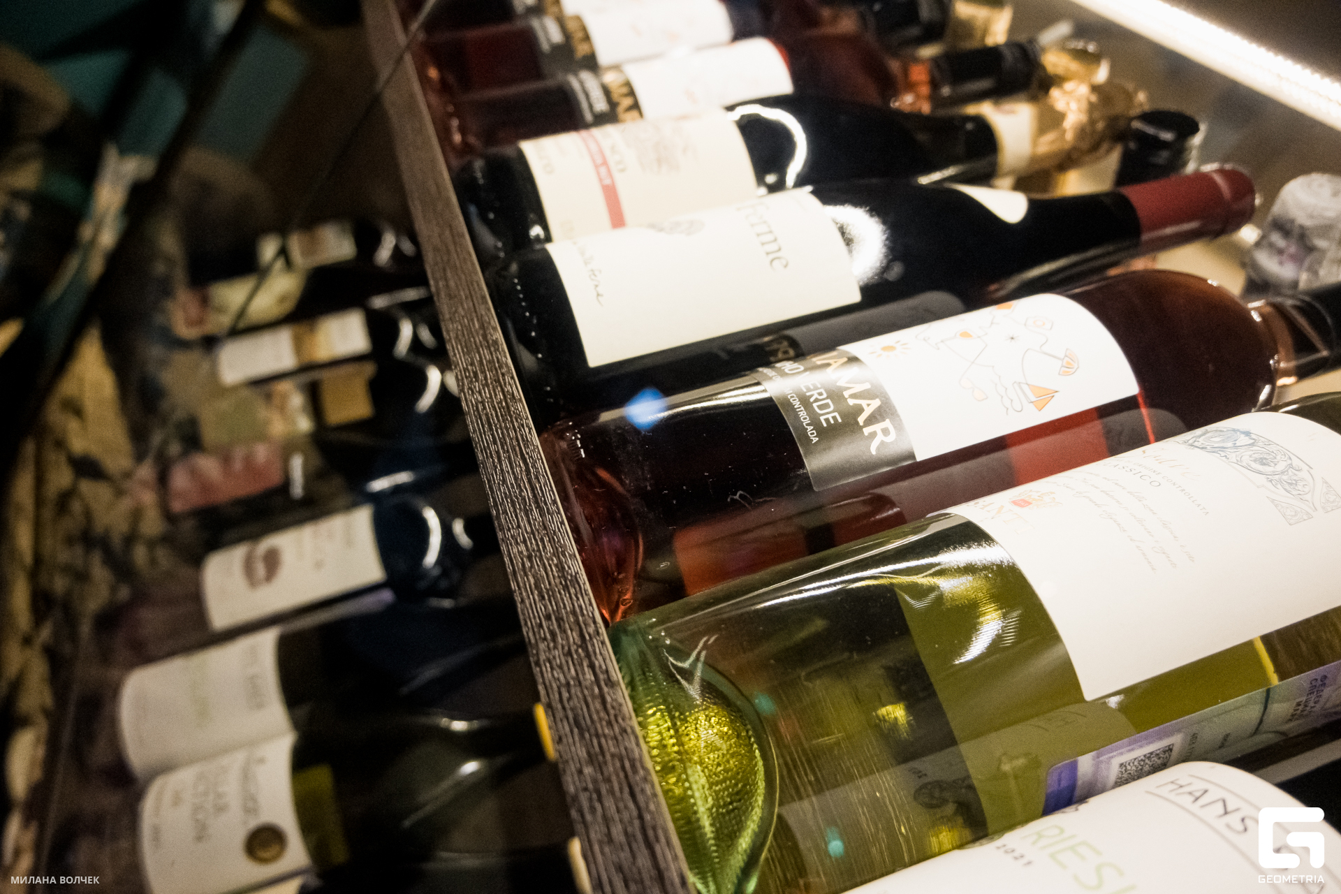 053_20231125 Волчек.jpg