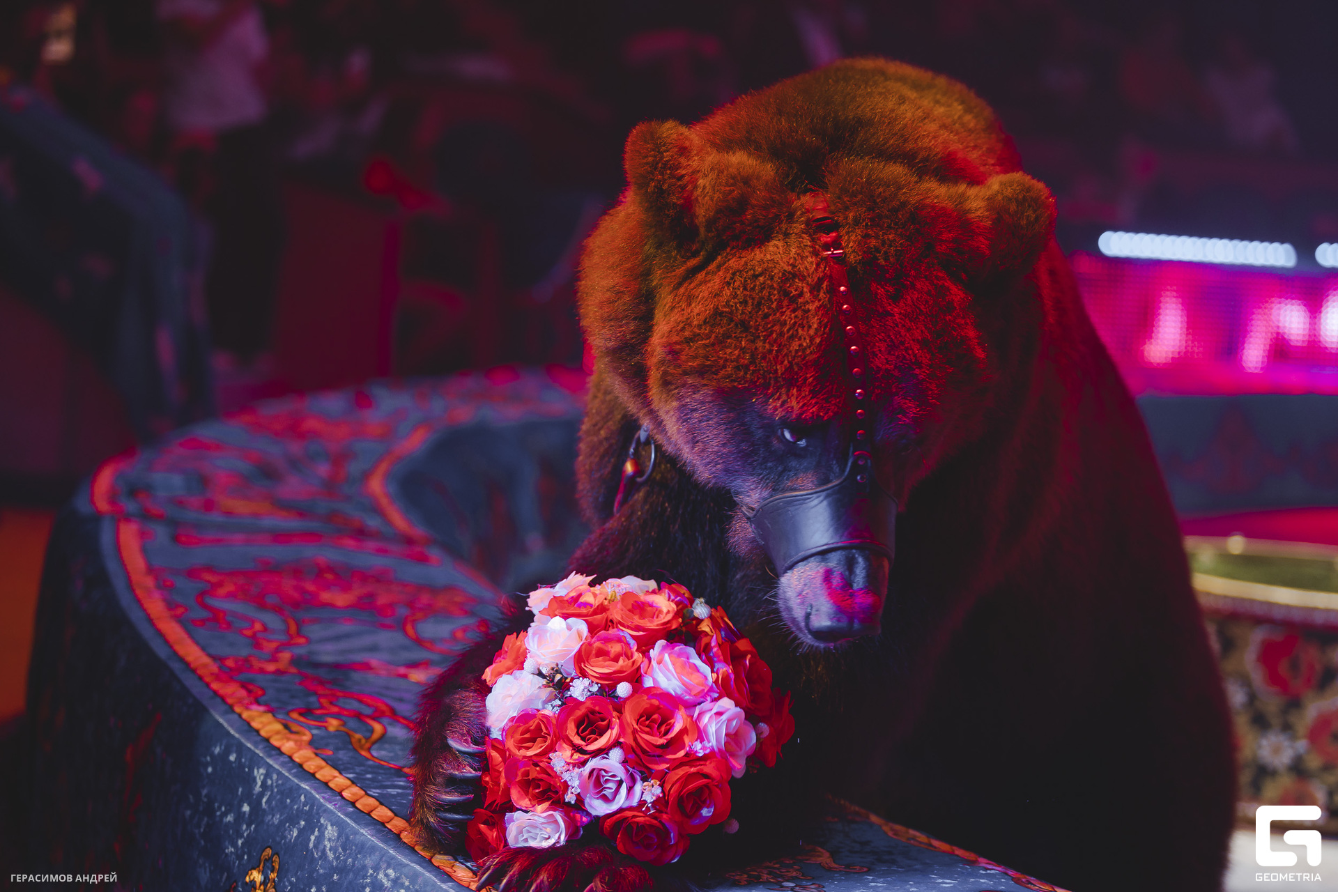 077 Цирк 29. 05.jpg