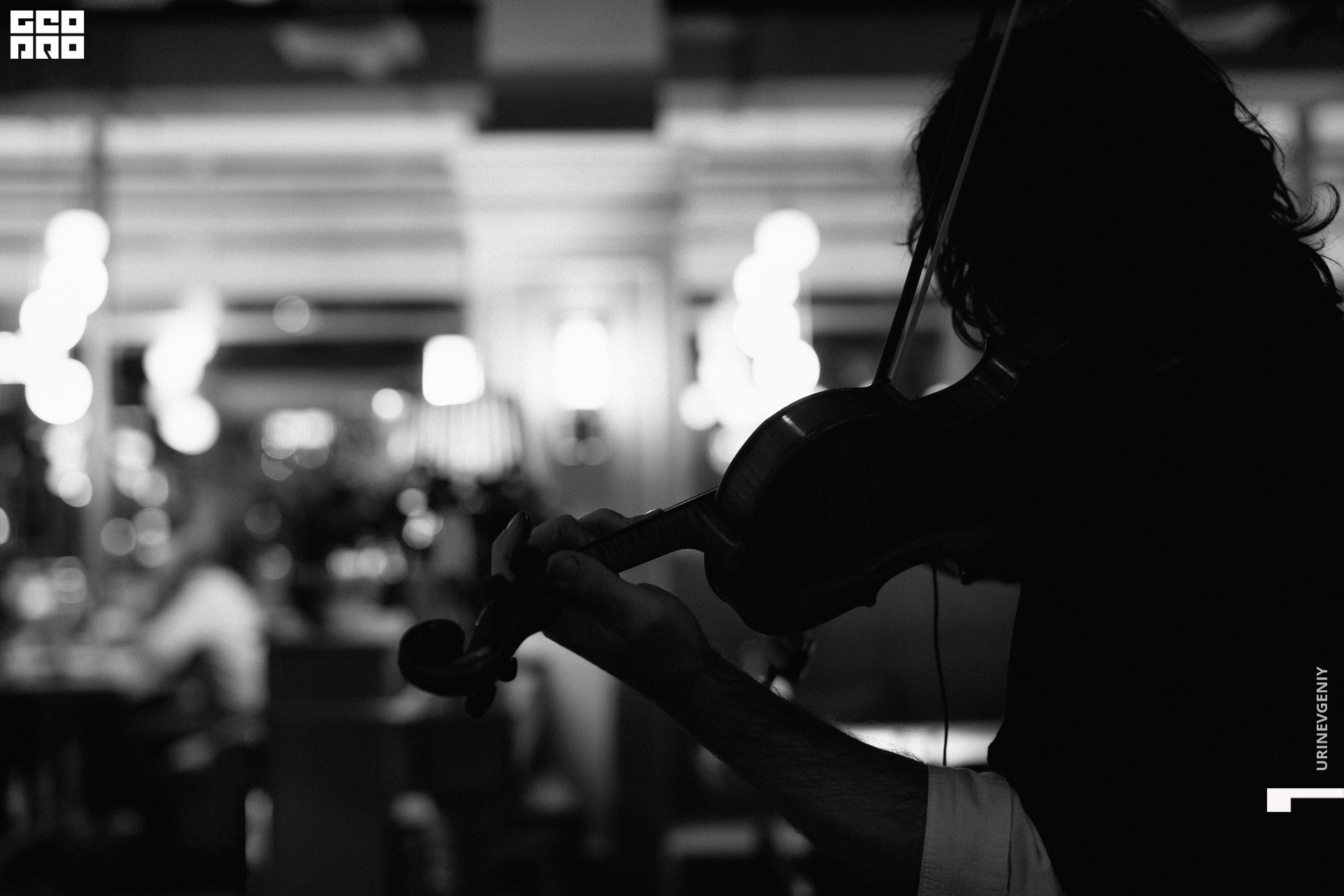 14.02.2022. Балерина и Бифштекс (31).jpg