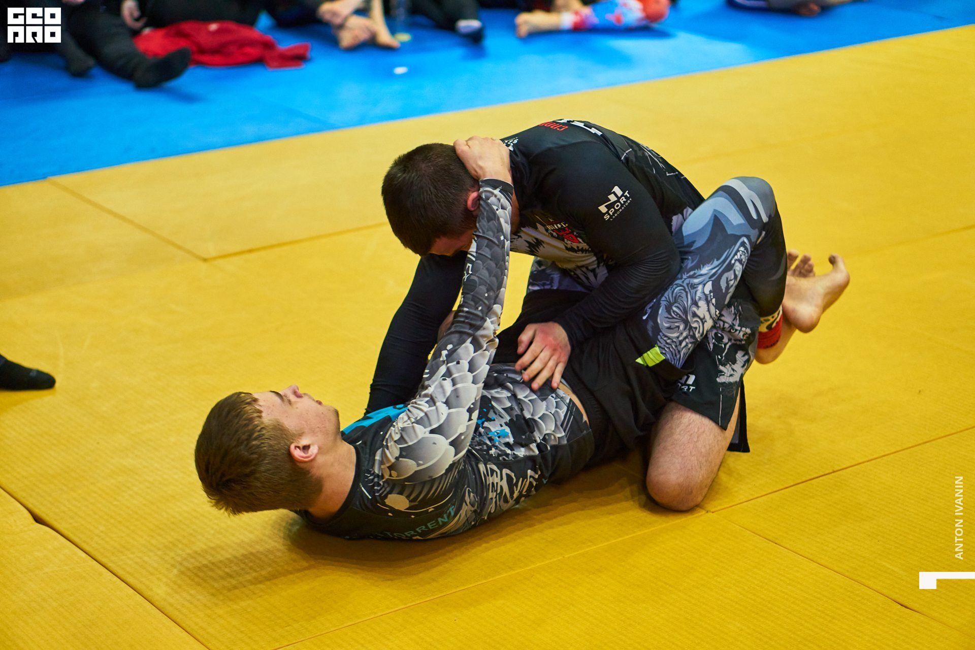 DSC09578 (Копировать).jpg