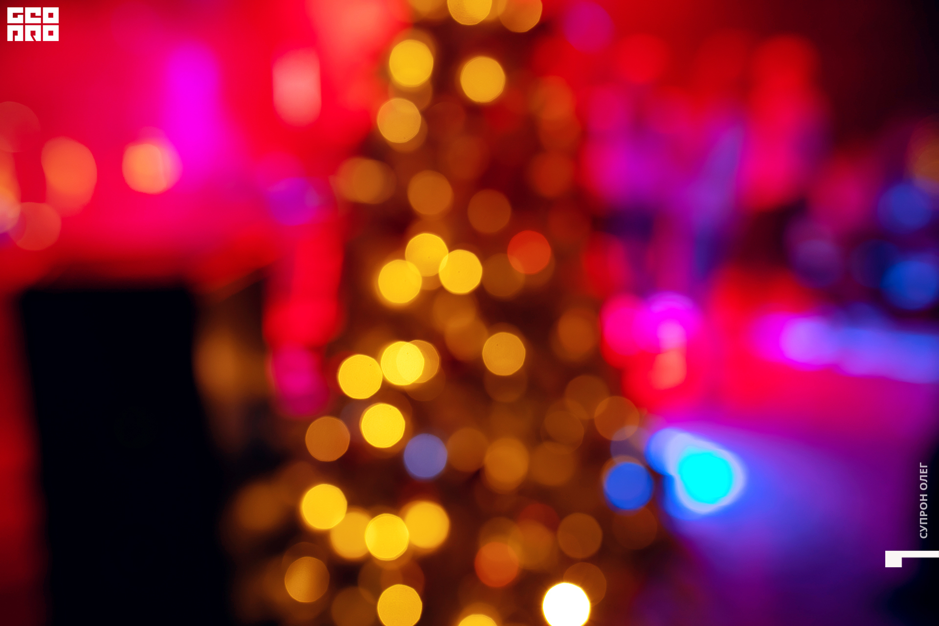 0N5A0235 копия.jpg