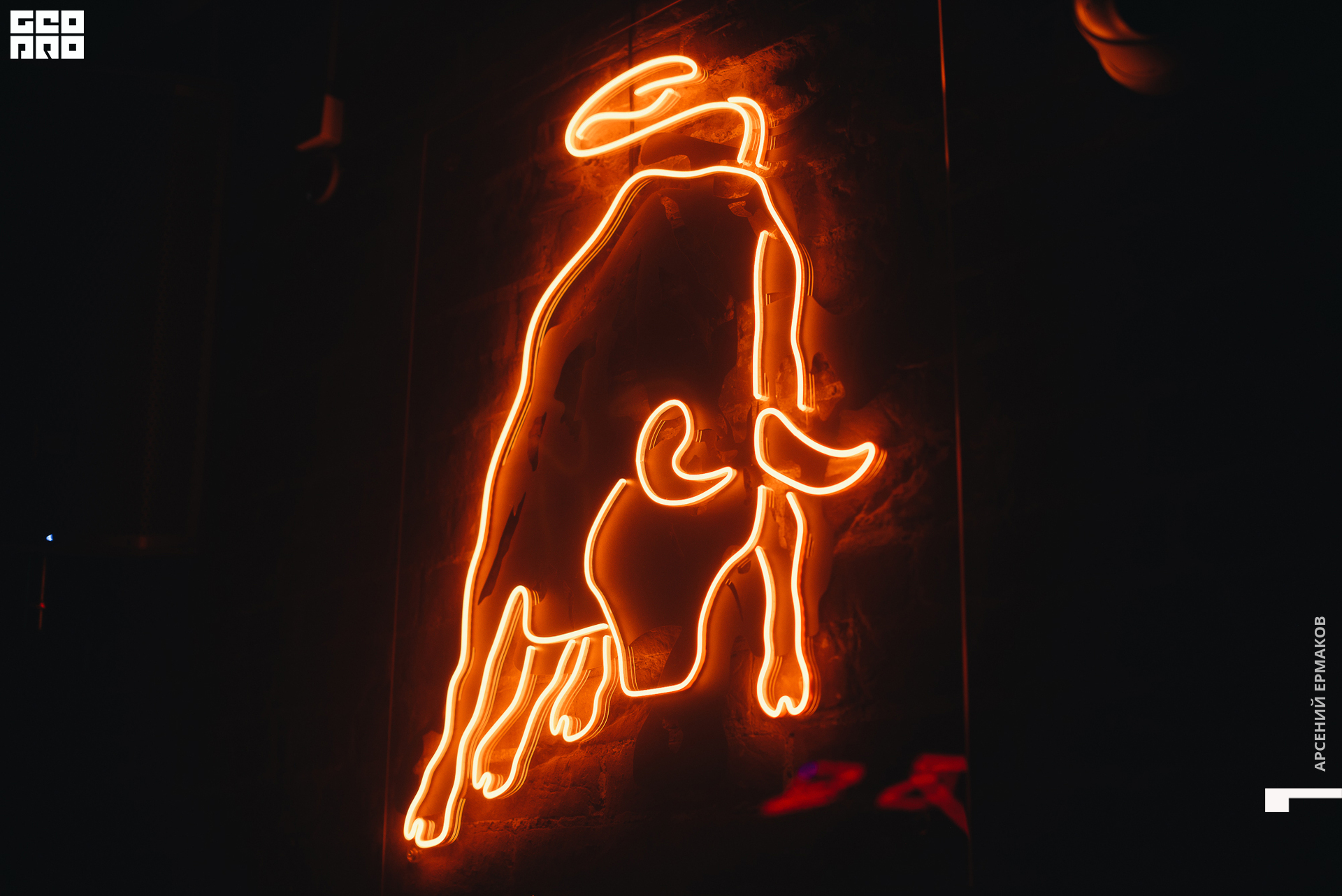 017 2022-08-15-003057_arseniyermakov.jpg