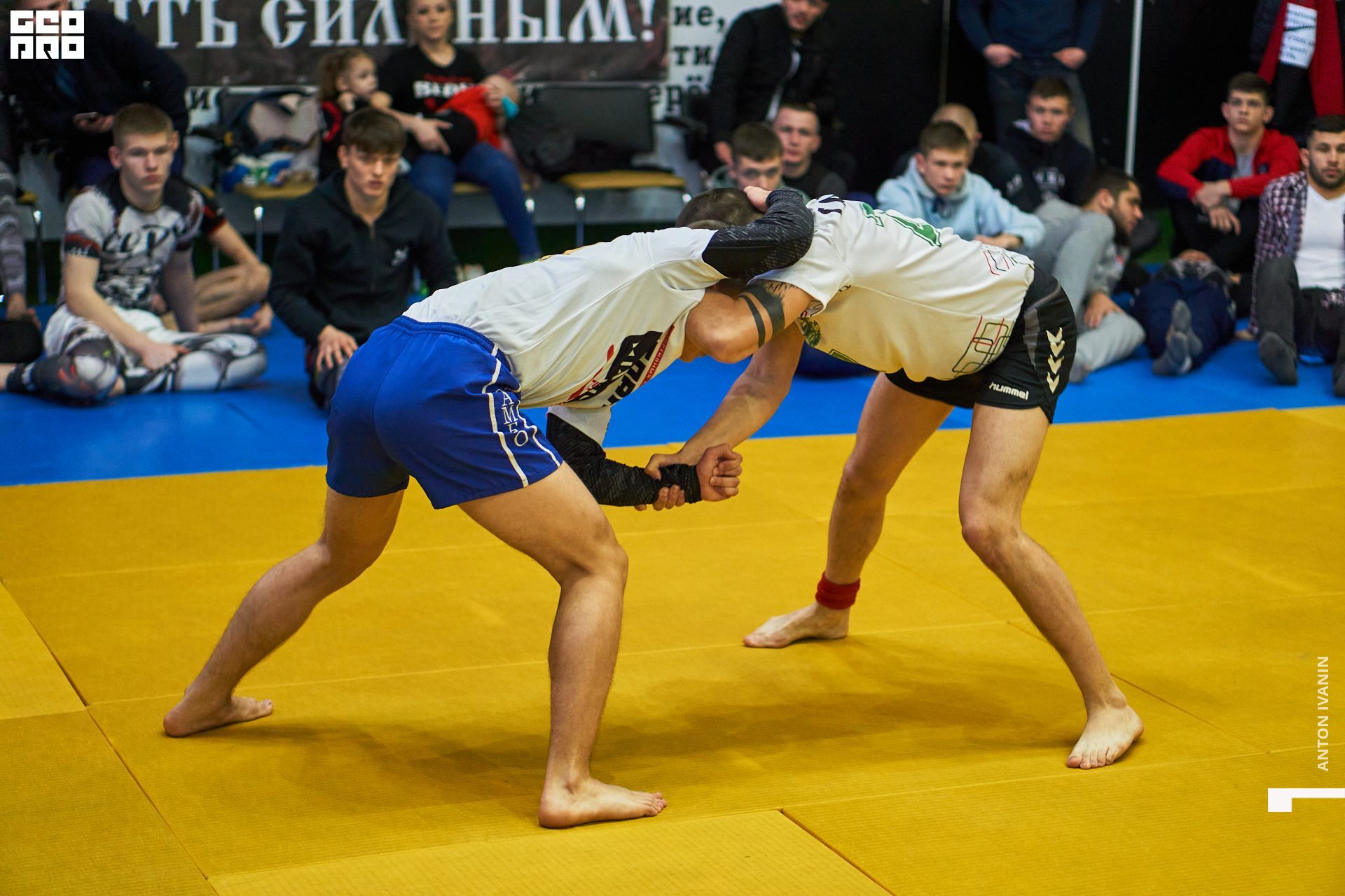 DSC09043 (Копировать).jpg