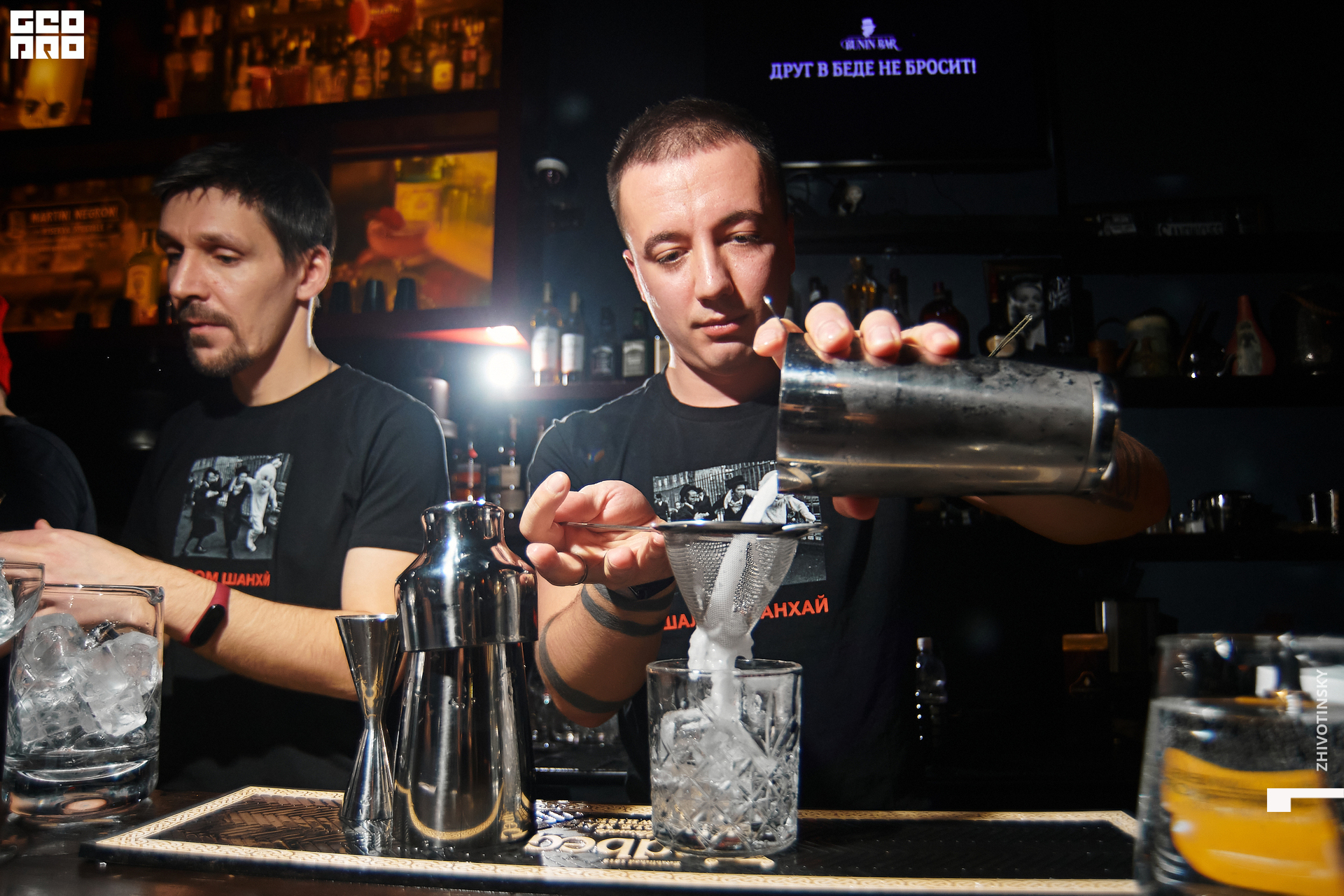 017_06-02-22_10-09 _Zhivotinsky.jpg