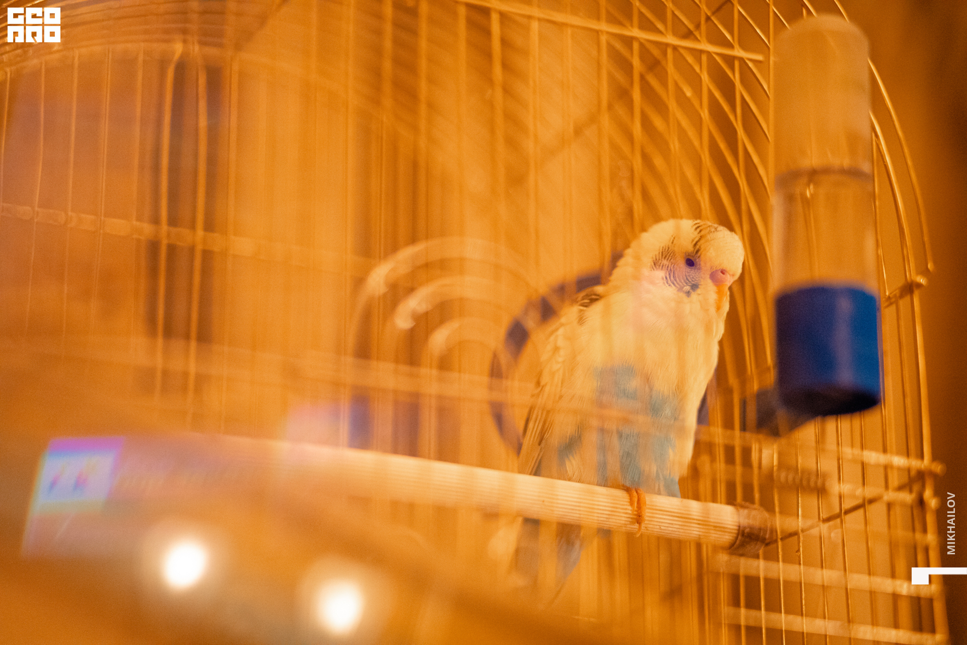 087-18-12-2020-18-37-18.12.20 -  ХС - Михайлов - 1920.jpg