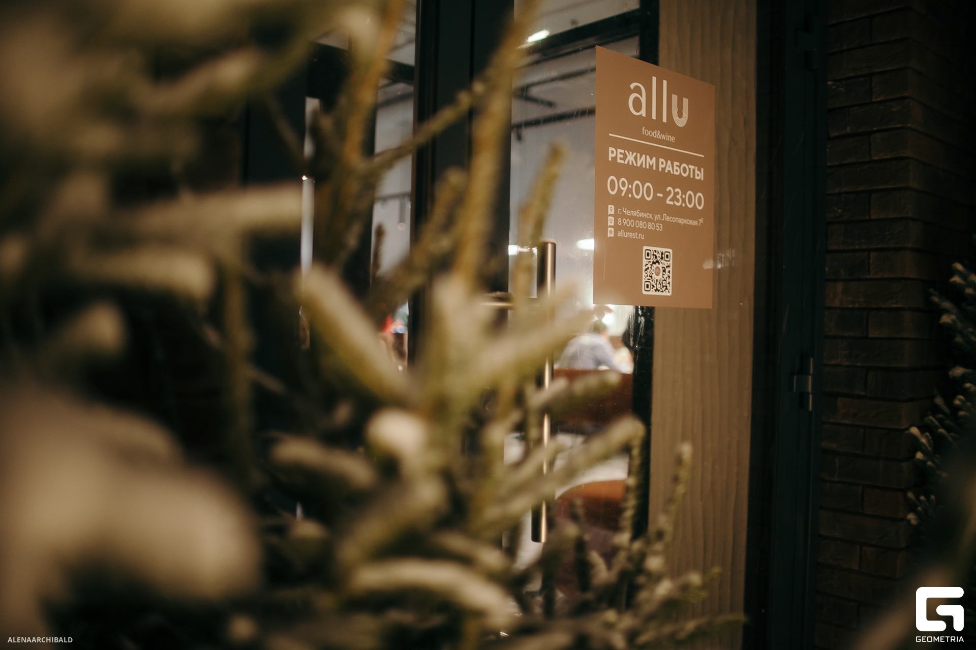 2023-12-02 18-00-57_alenaarchibald002.JPG