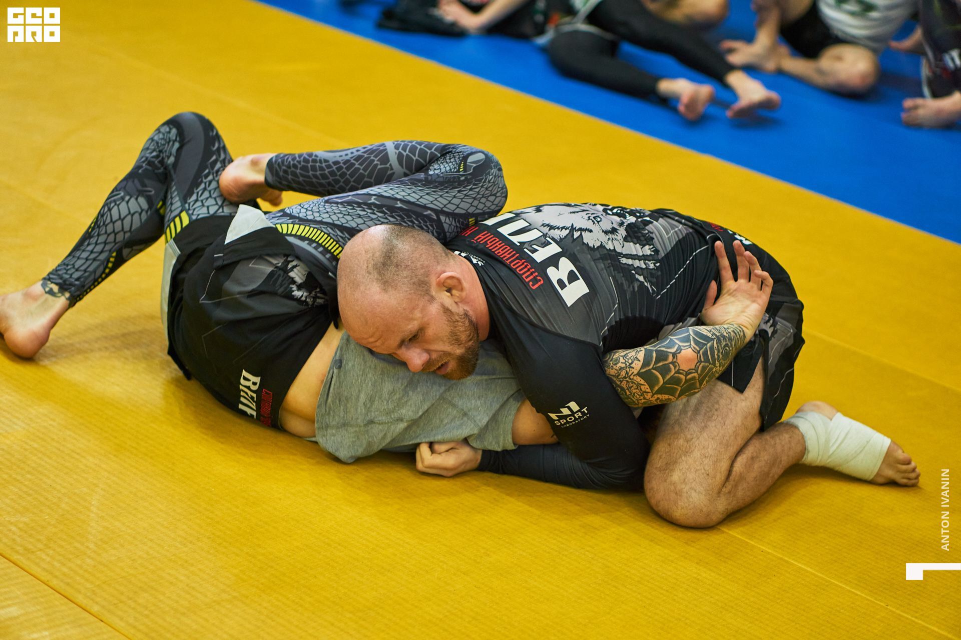 DSC09637 (Копировать).jpg