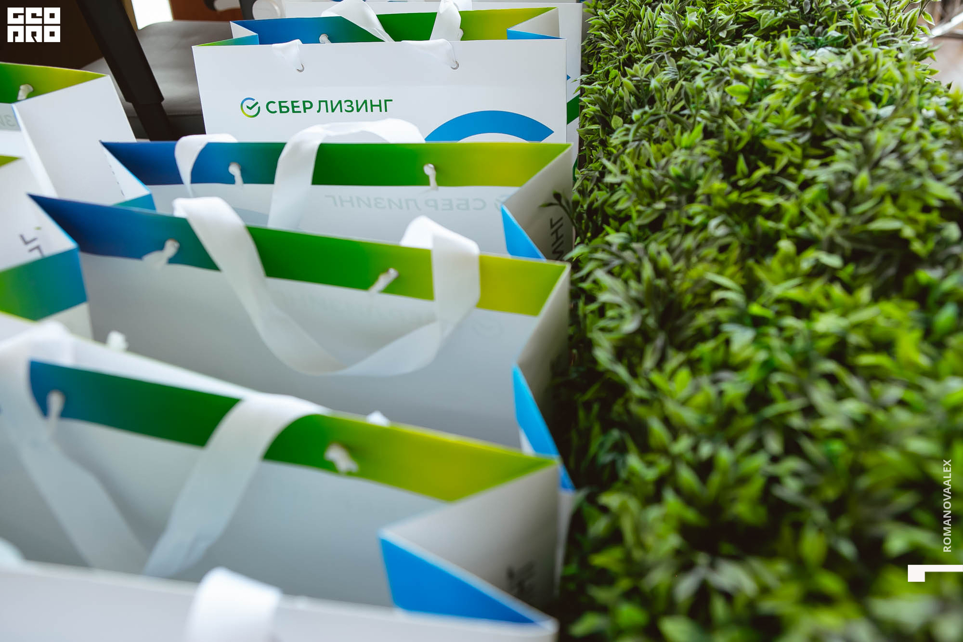 016 210517_Romanova.jpg