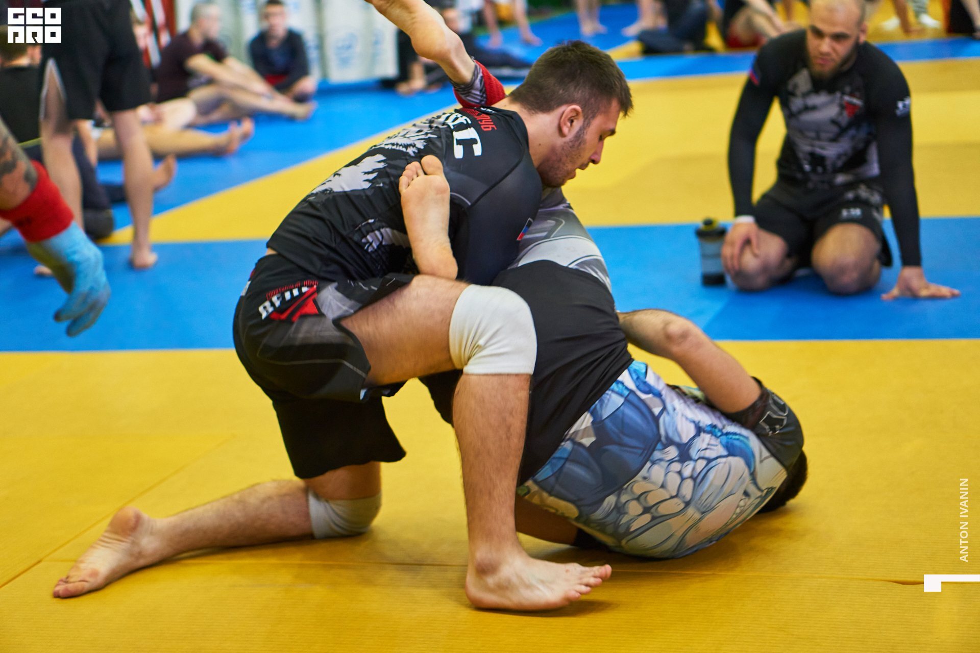 DSC09384 (Копировать).jpg