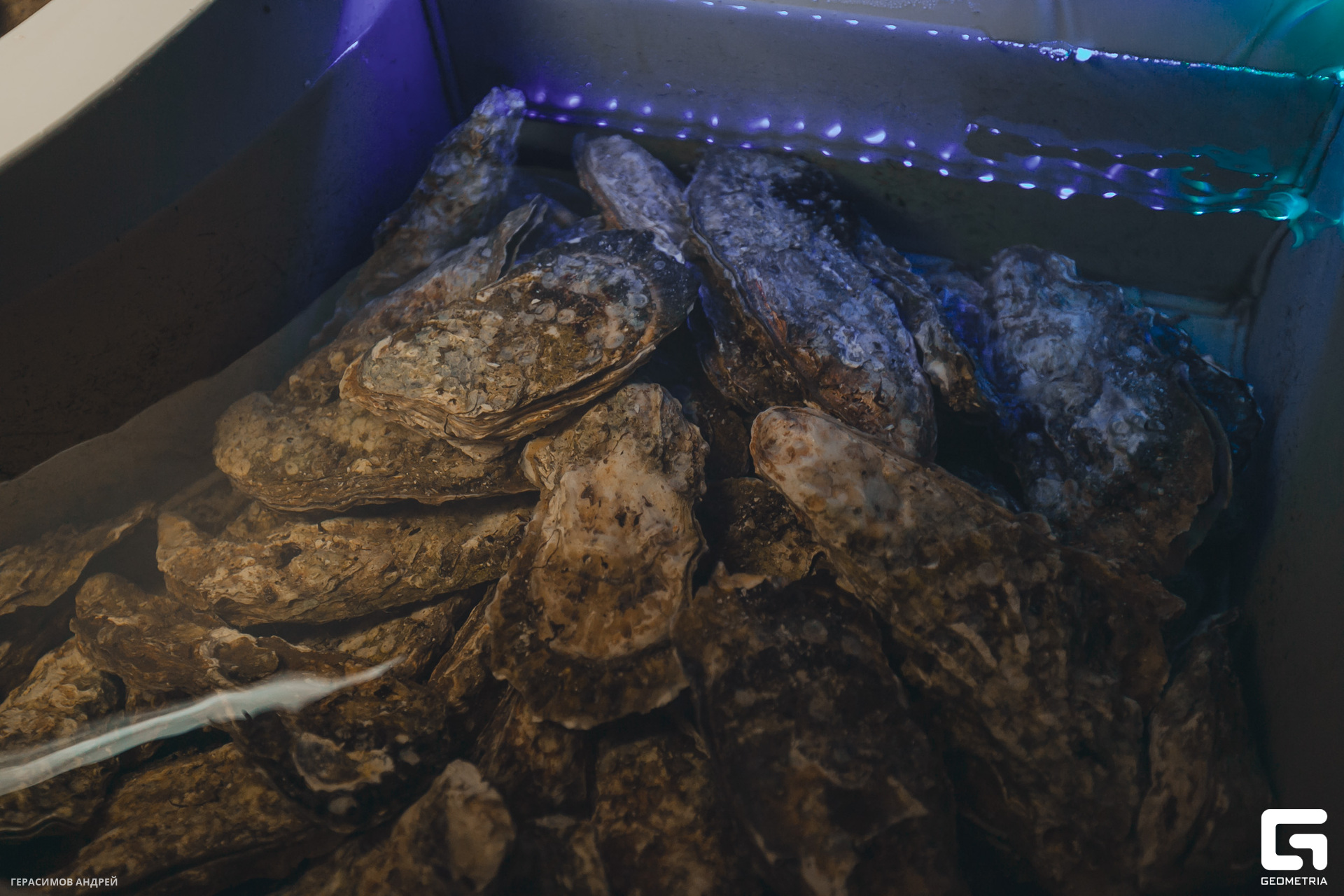 018 Вода 11.11.jpg