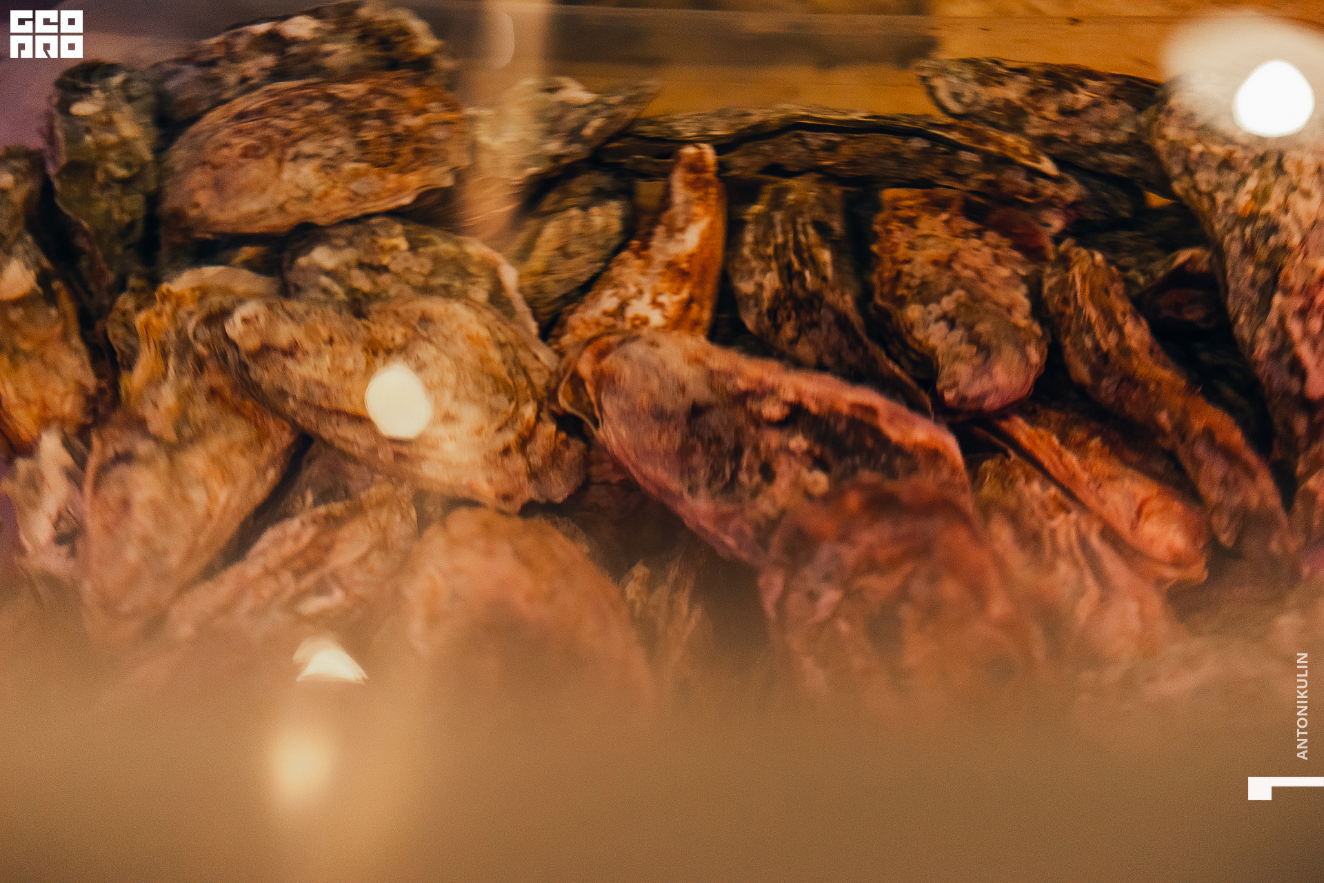 untitled shoot-8099.jpg