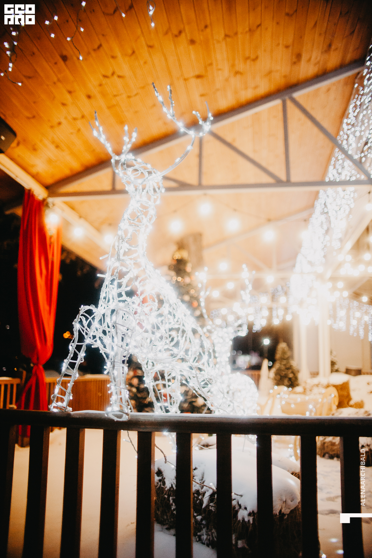 2021-02-26 21-29-45_alenaarchibald_070.JPG