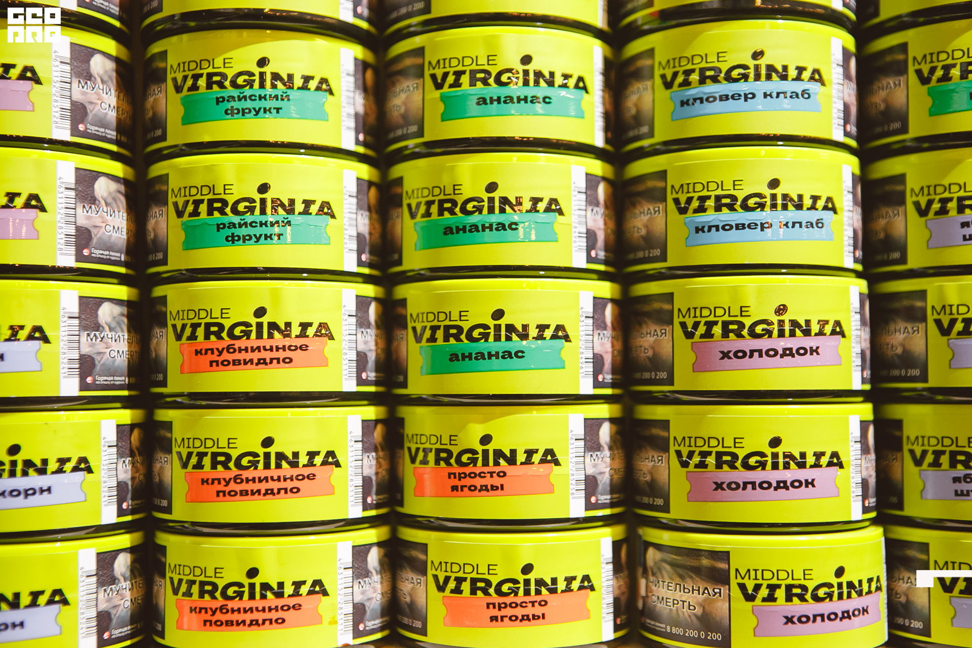 087 211010  204335 _ale_romanova.jpg