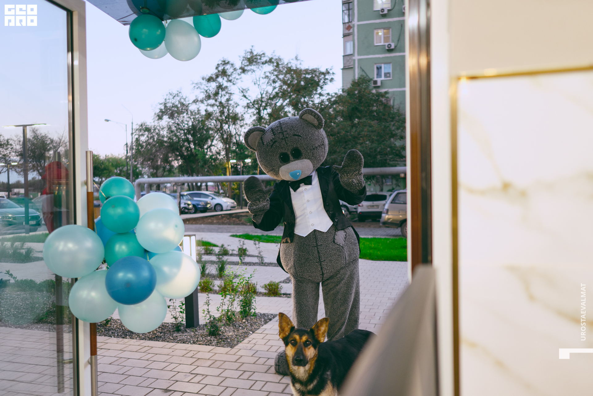 без имени-46.jpg