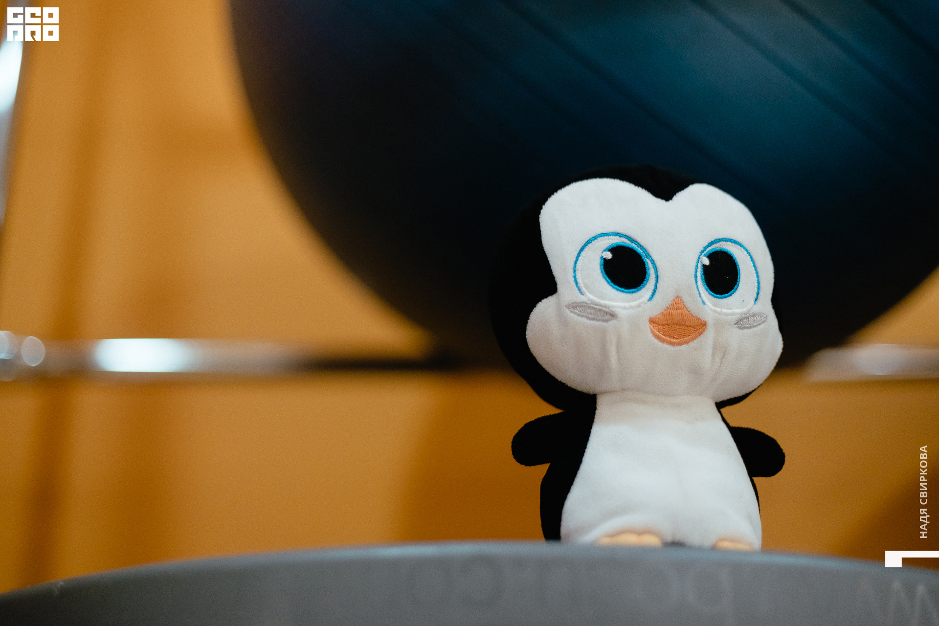 046_22-04-28 ISAEVA.jpg