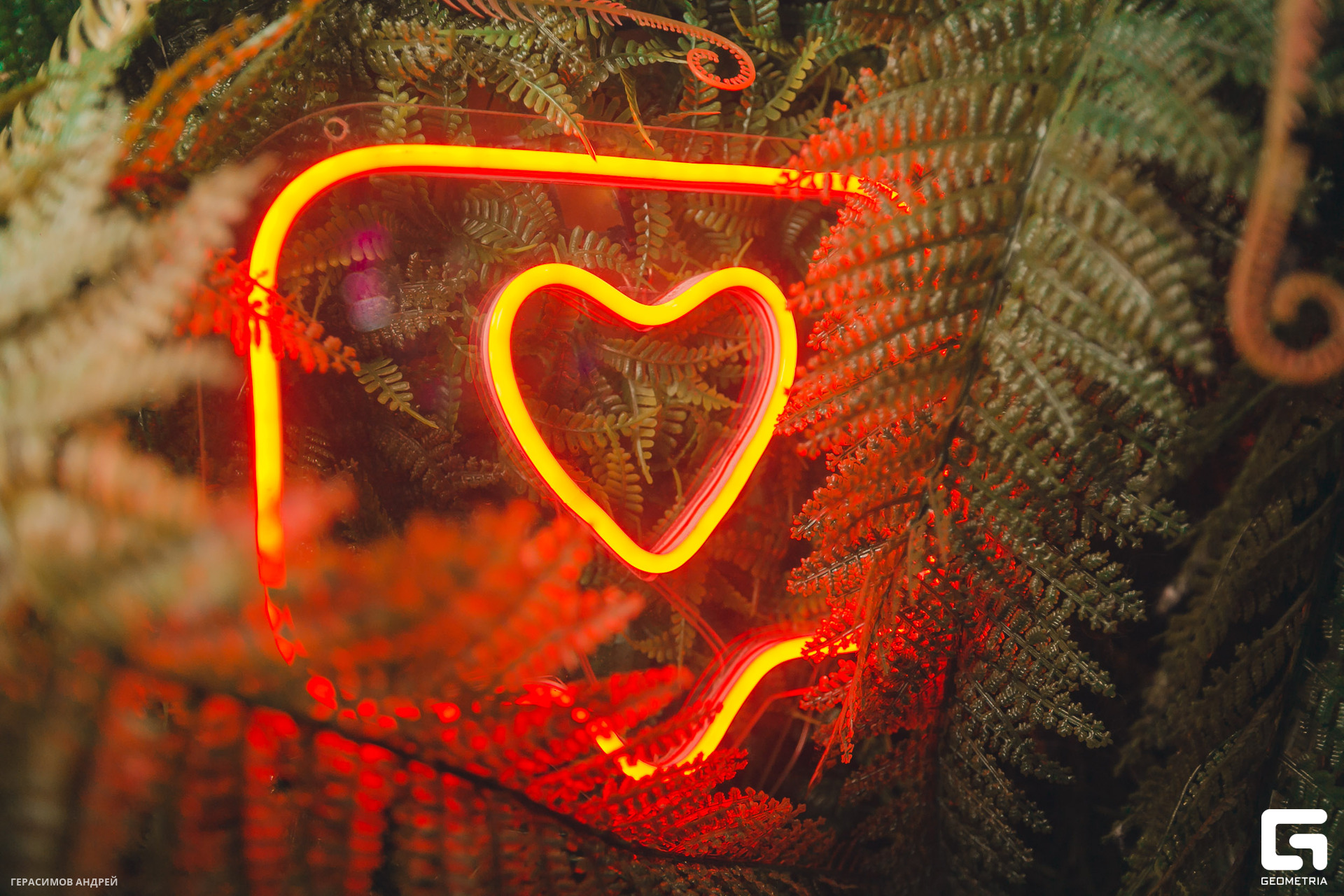 003 Малина 6.10.jpg