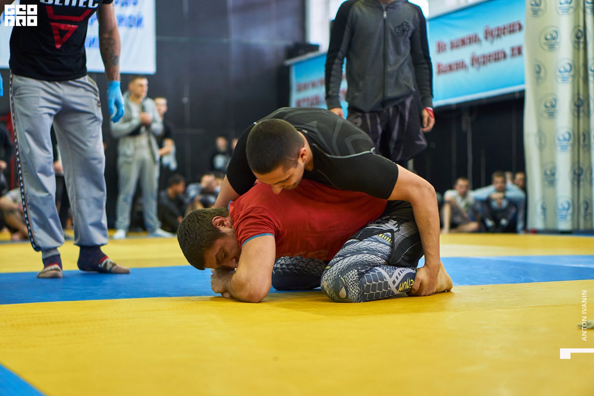 DSC09325 (Копировать).jpg