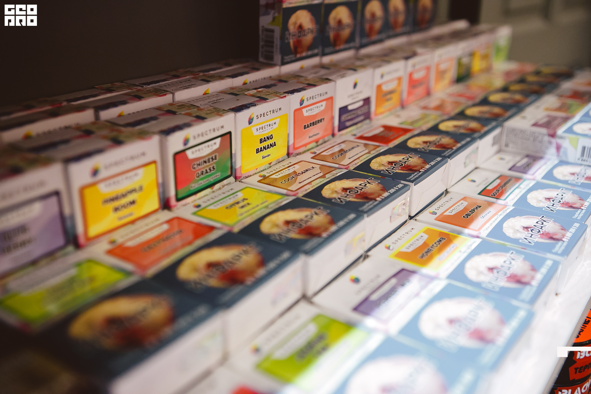 178 211010  204426 _ale_romanova.jpg