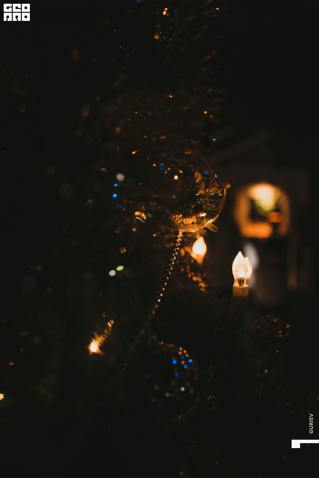 alphaSHOT prime100000-100087.jpg