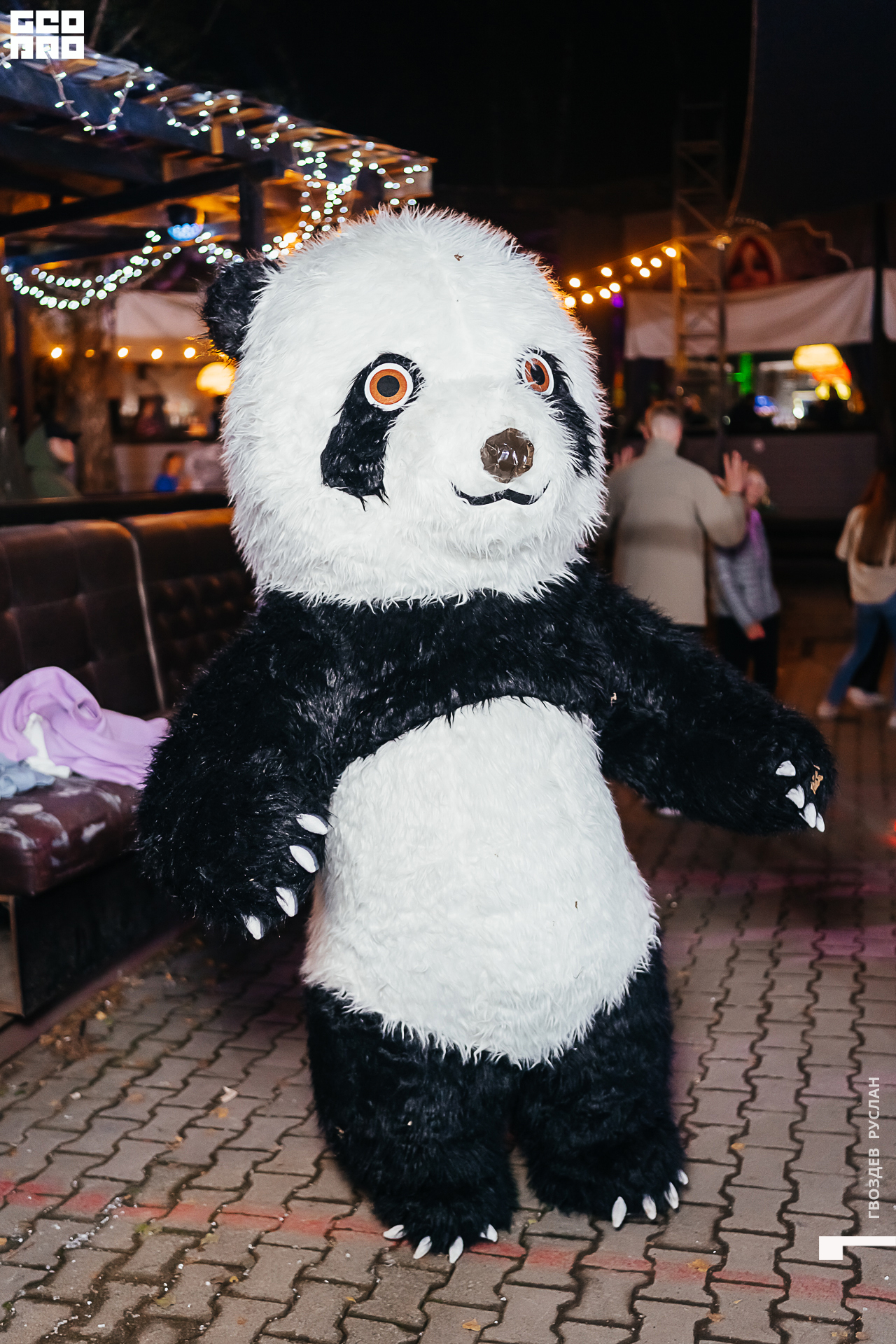 Gvozdev Photo-102.jpg