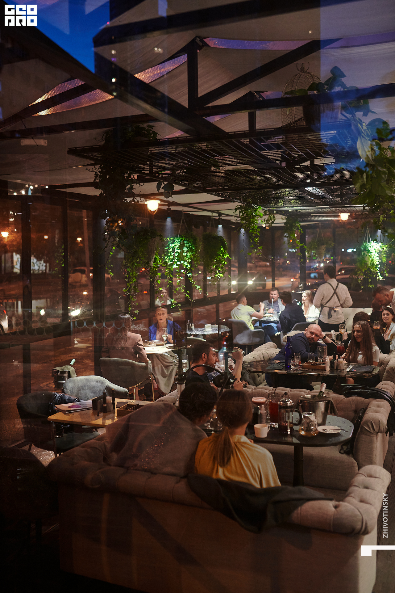 010_17-06-22_10-57 _Zhivotinsky.jpg