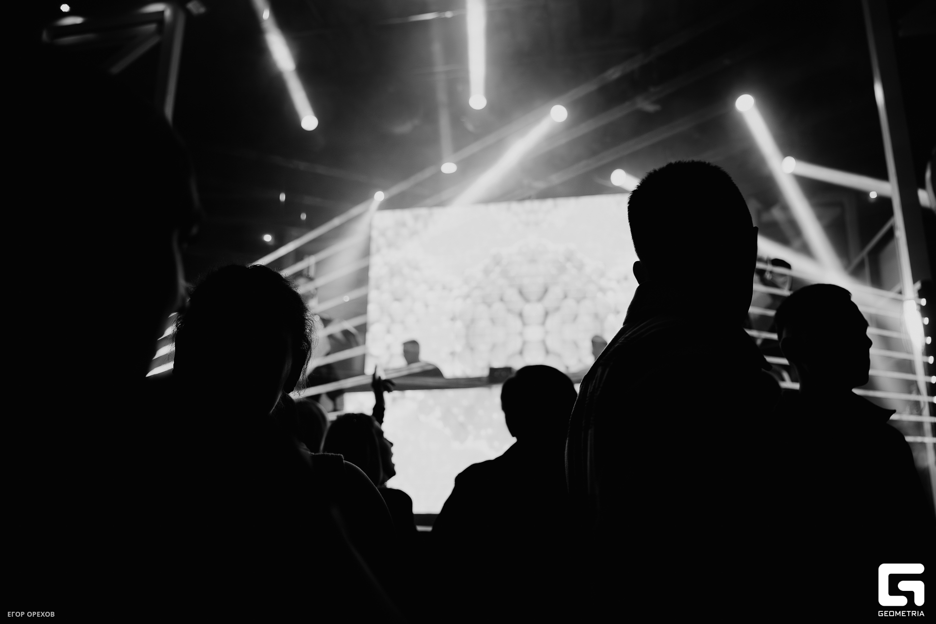 DSC05968-Улучшено-Ум. шума.jpg