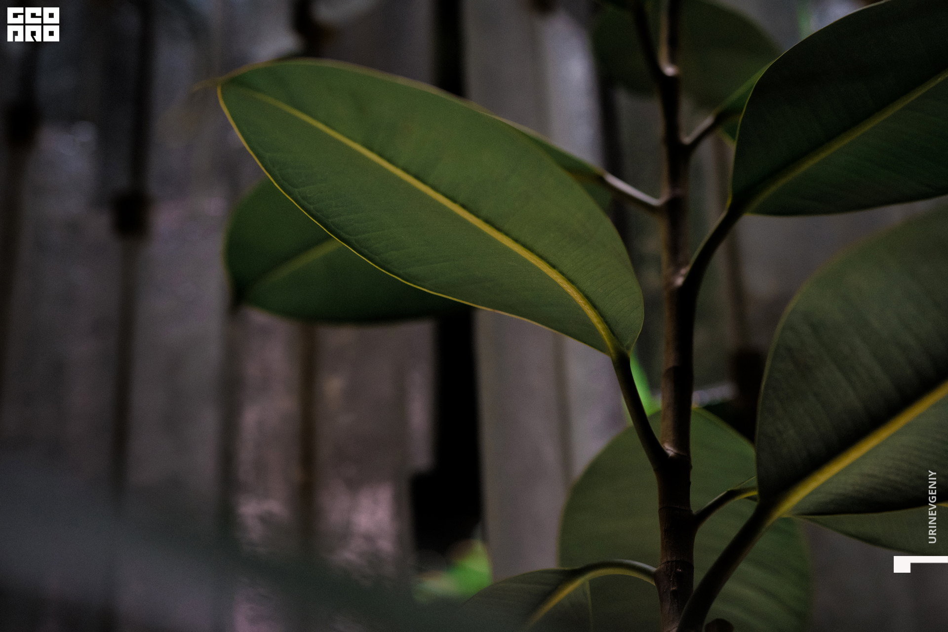 08.03.2021. Café Krasnodar (28).jpg