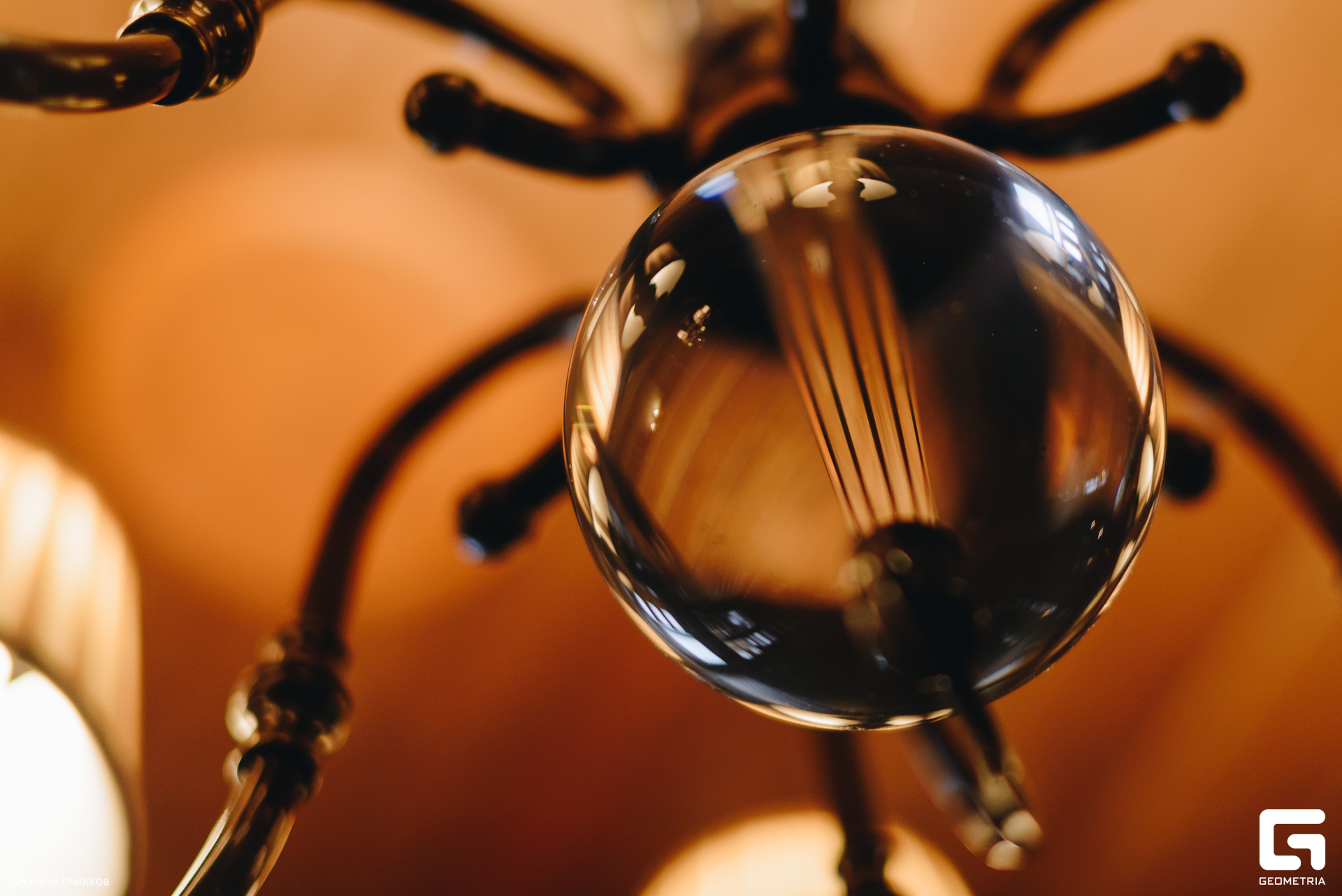 135 02282023_02282023_ermakov.jpg