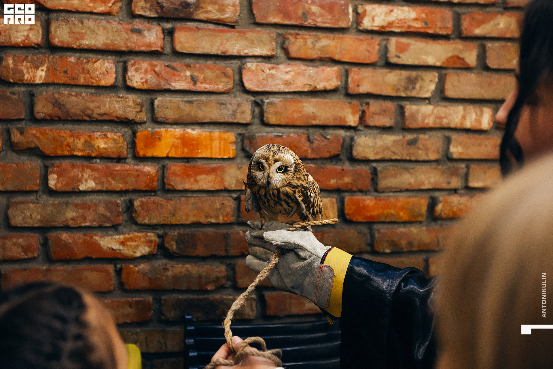 untitled shoot-4534.jpg