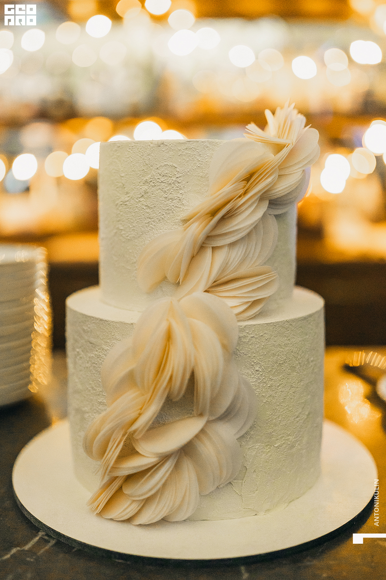 untitled shoot-3577.jpg