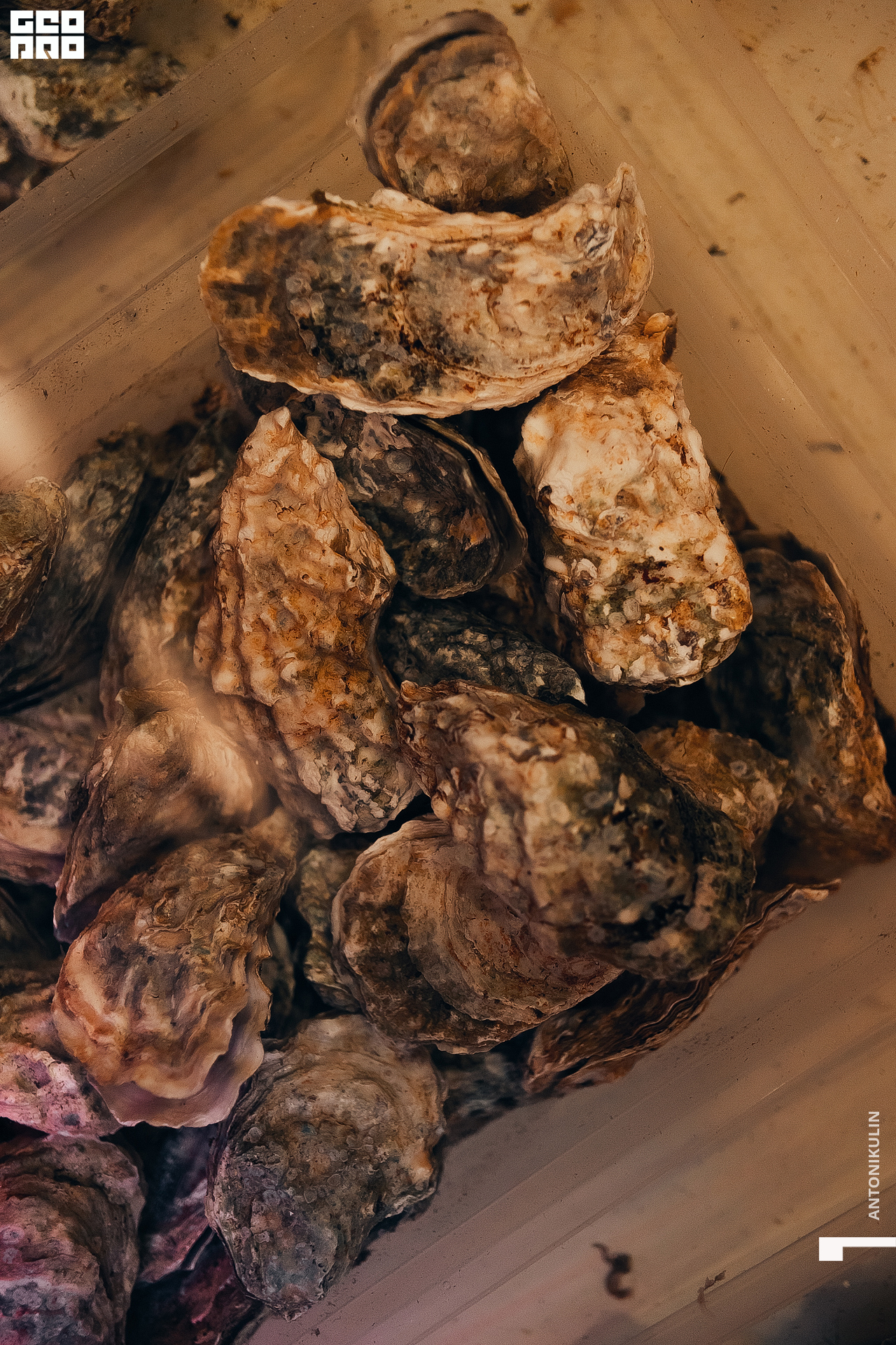 untitled shoot-3157.jpg