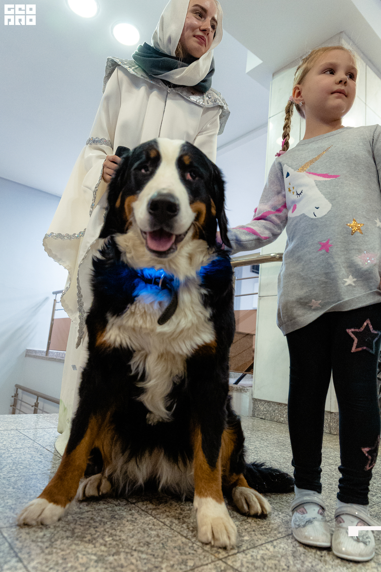 200-20211211-57-11.12.21 - Ёлки.jpg