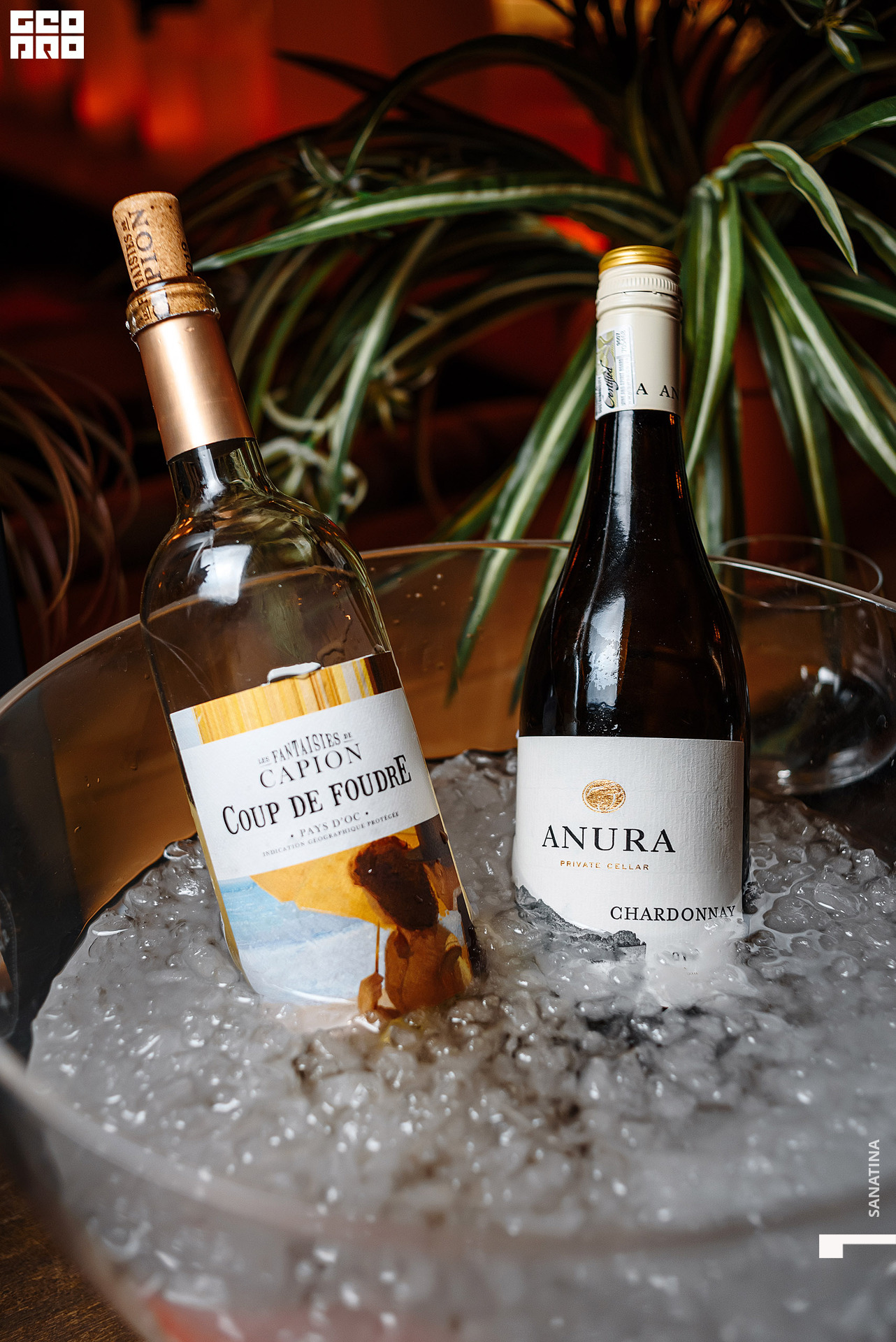 0082_2021-04-28_20-26-42 - Sanatina.jpg