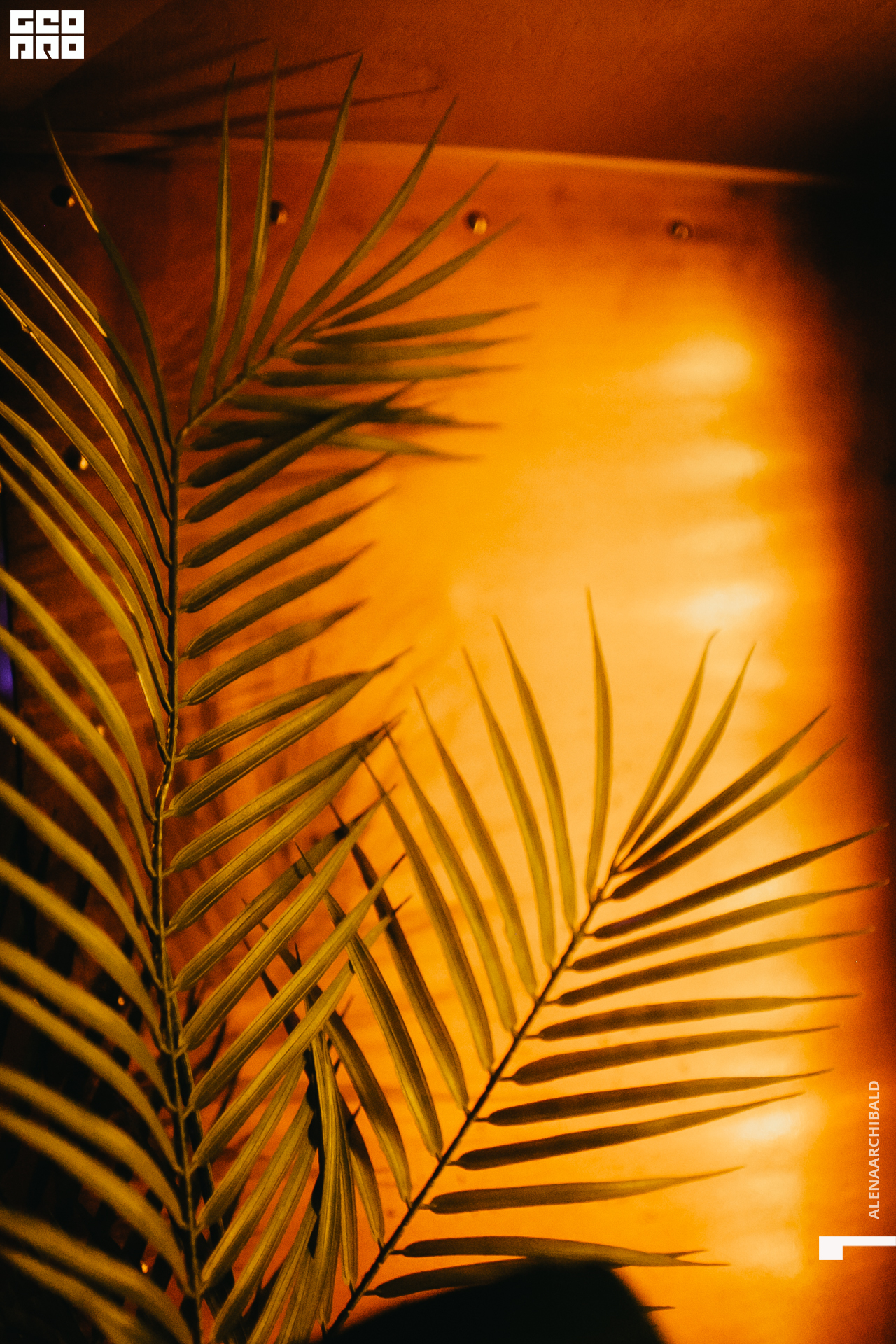 2021-12-25 20-00-41_alenaarchibald081.JPG