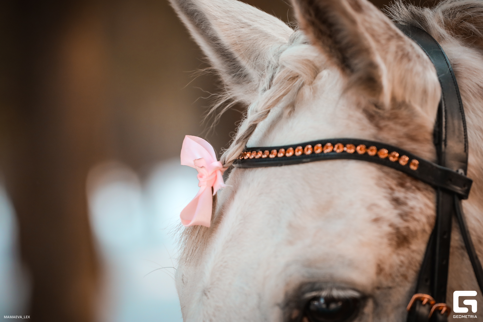 2024-03-18 21-27-31 (47).JPG