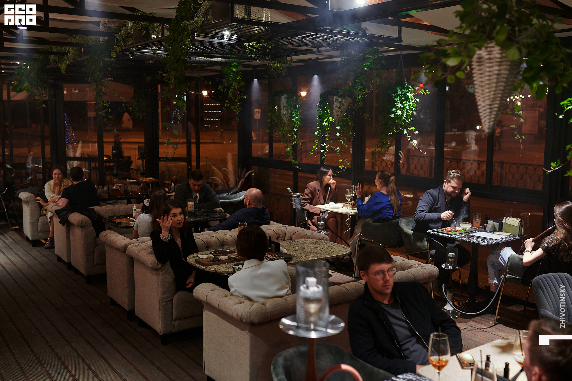 073_17-06-22_11-50 _Zhivotinsky.jpg