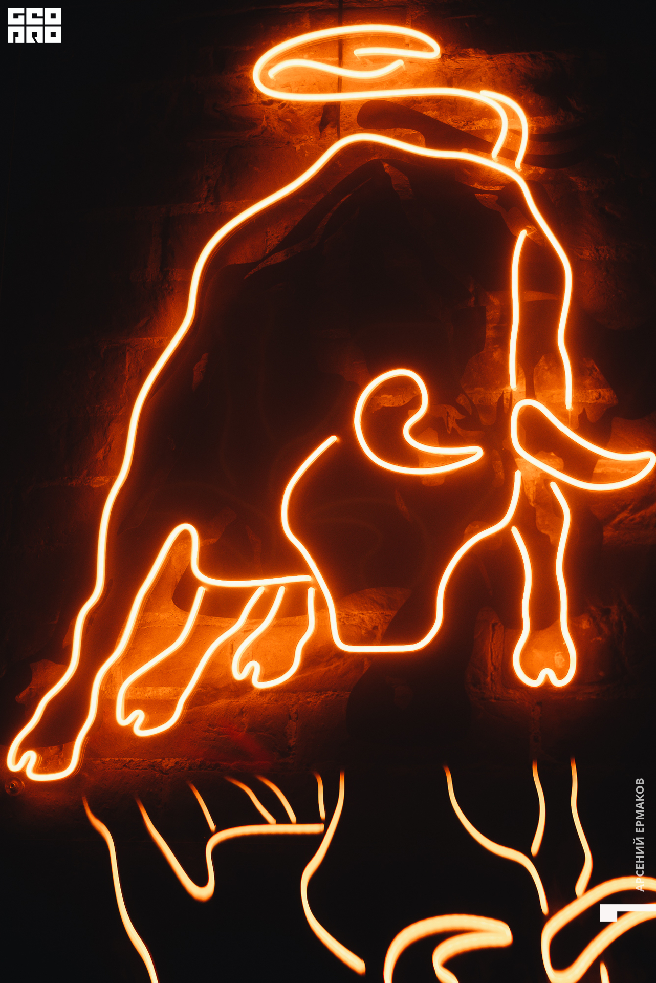 035 2022-07-160502-001255_arseniyermakov.jpg