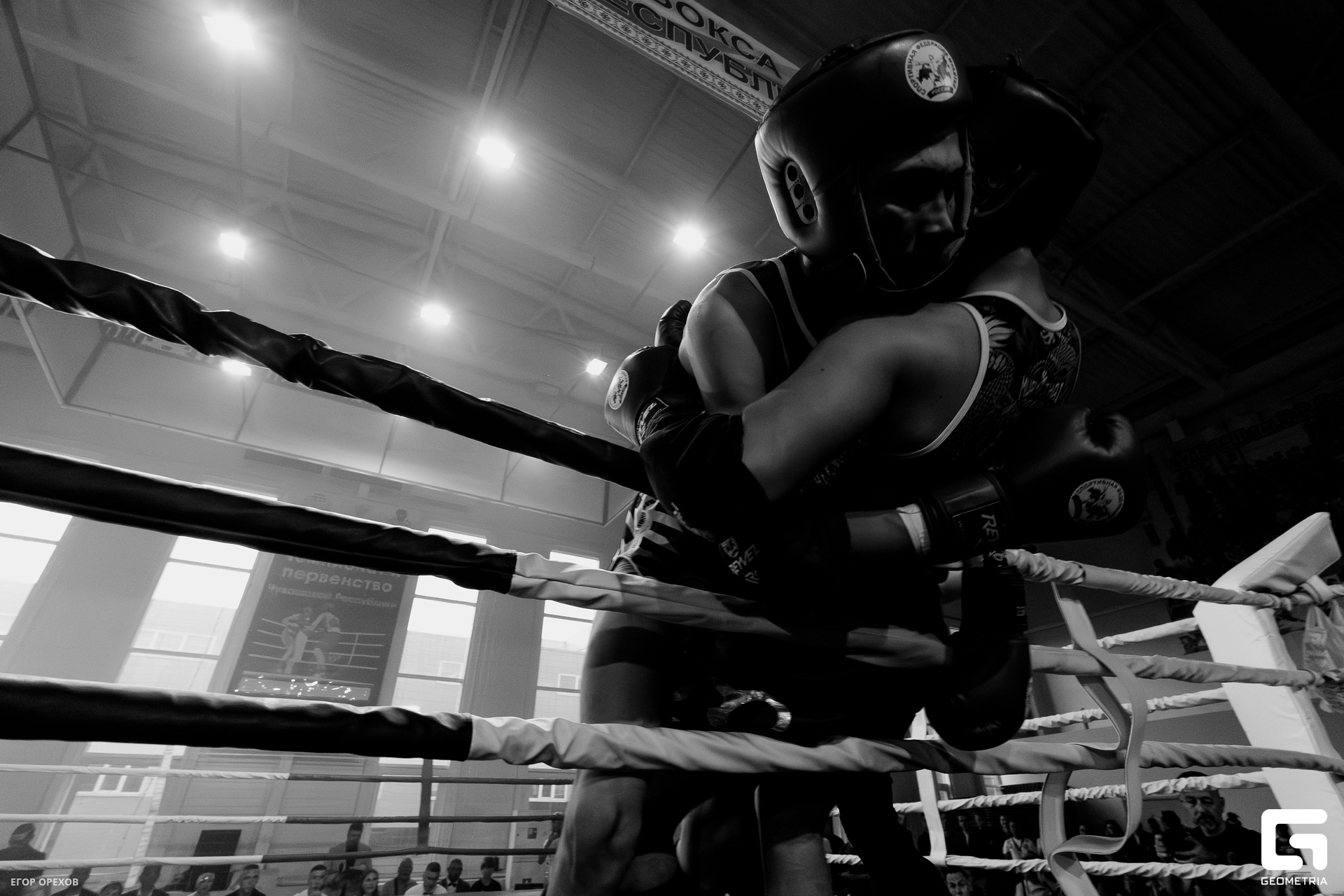 DSC08813-Улучшено-Ум. шума.jpg