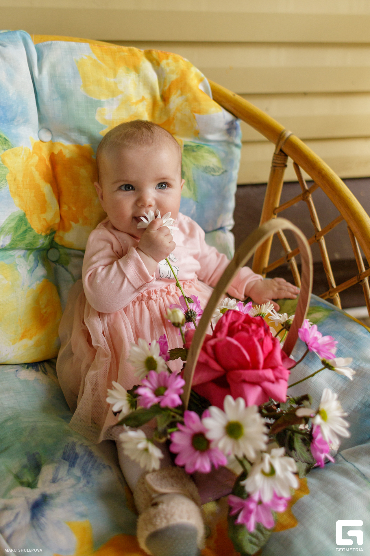 домик мечты-246.jpg