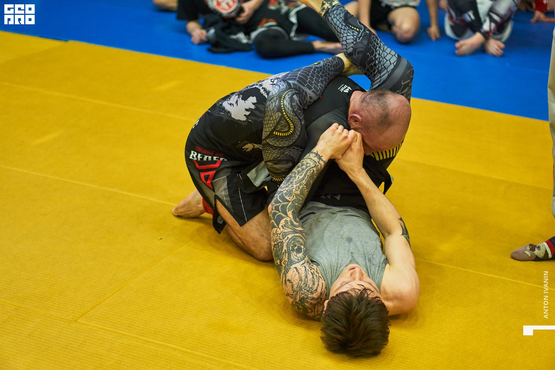 DSC09620 (Копировать).jpg