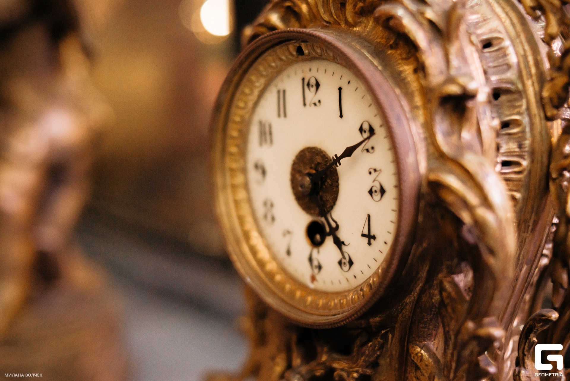 023_20230825 Волчек.jpg