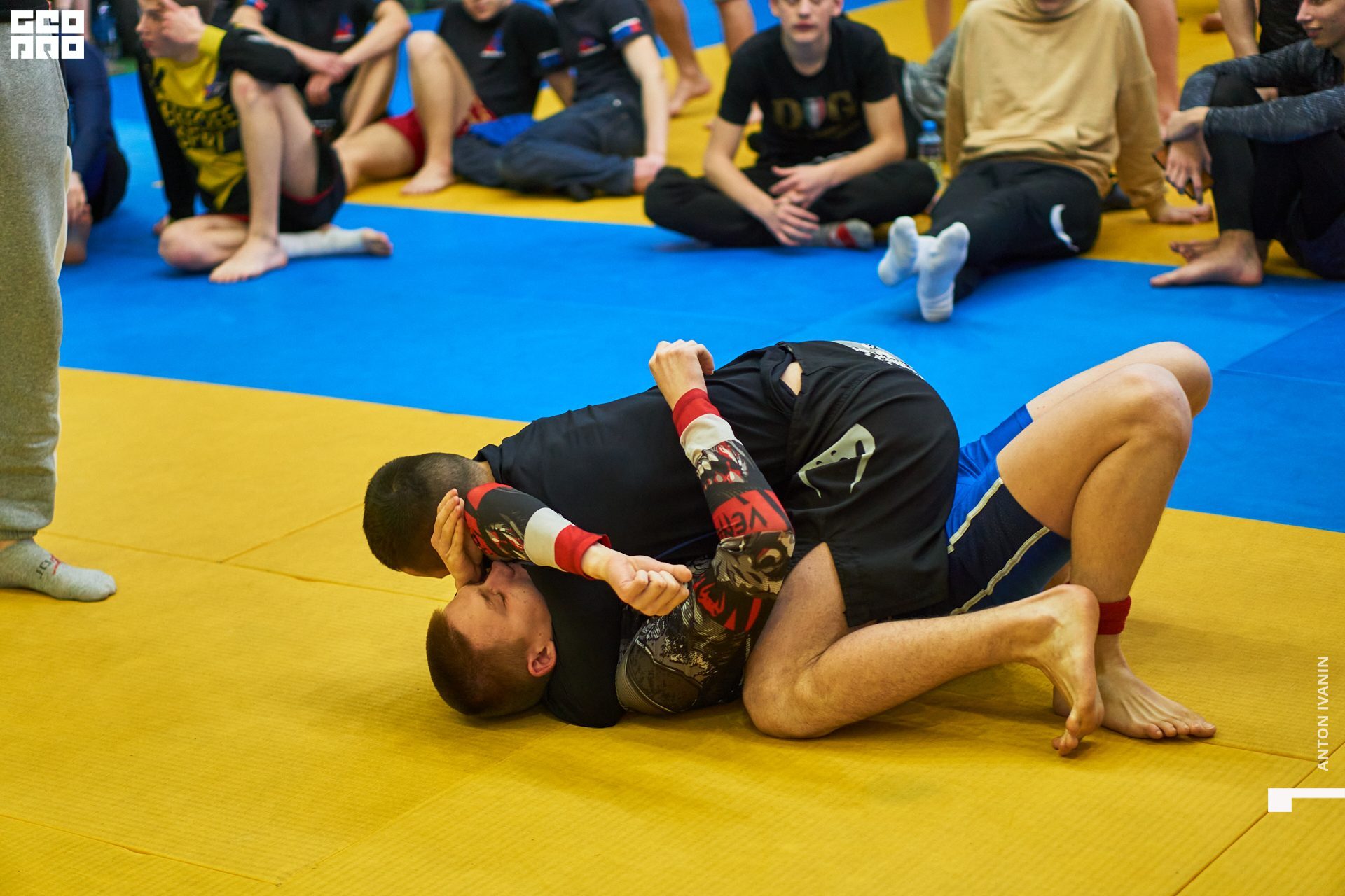 DSC09491 (Копировать).jpg