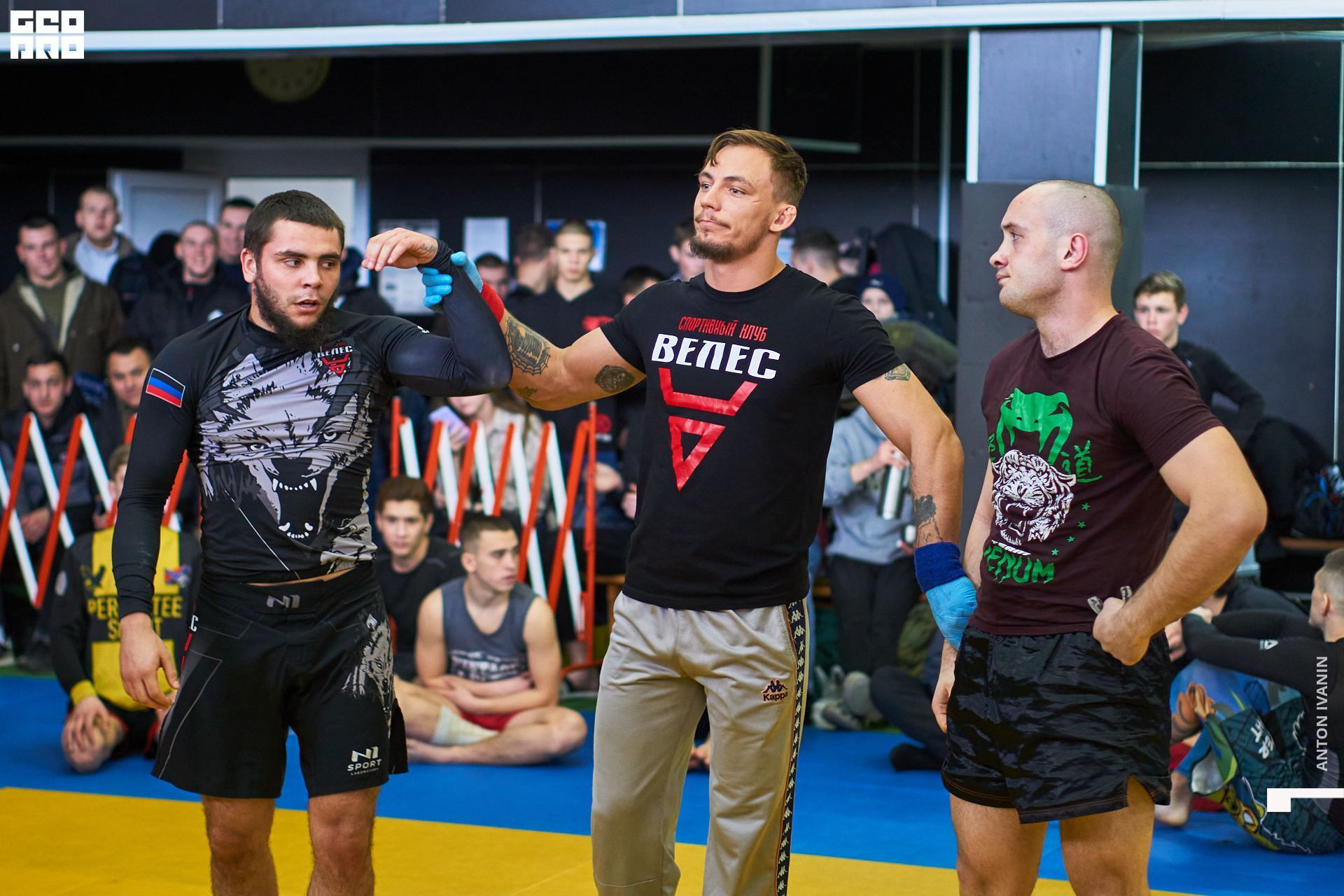 DSC09294 (Копировать).jpg