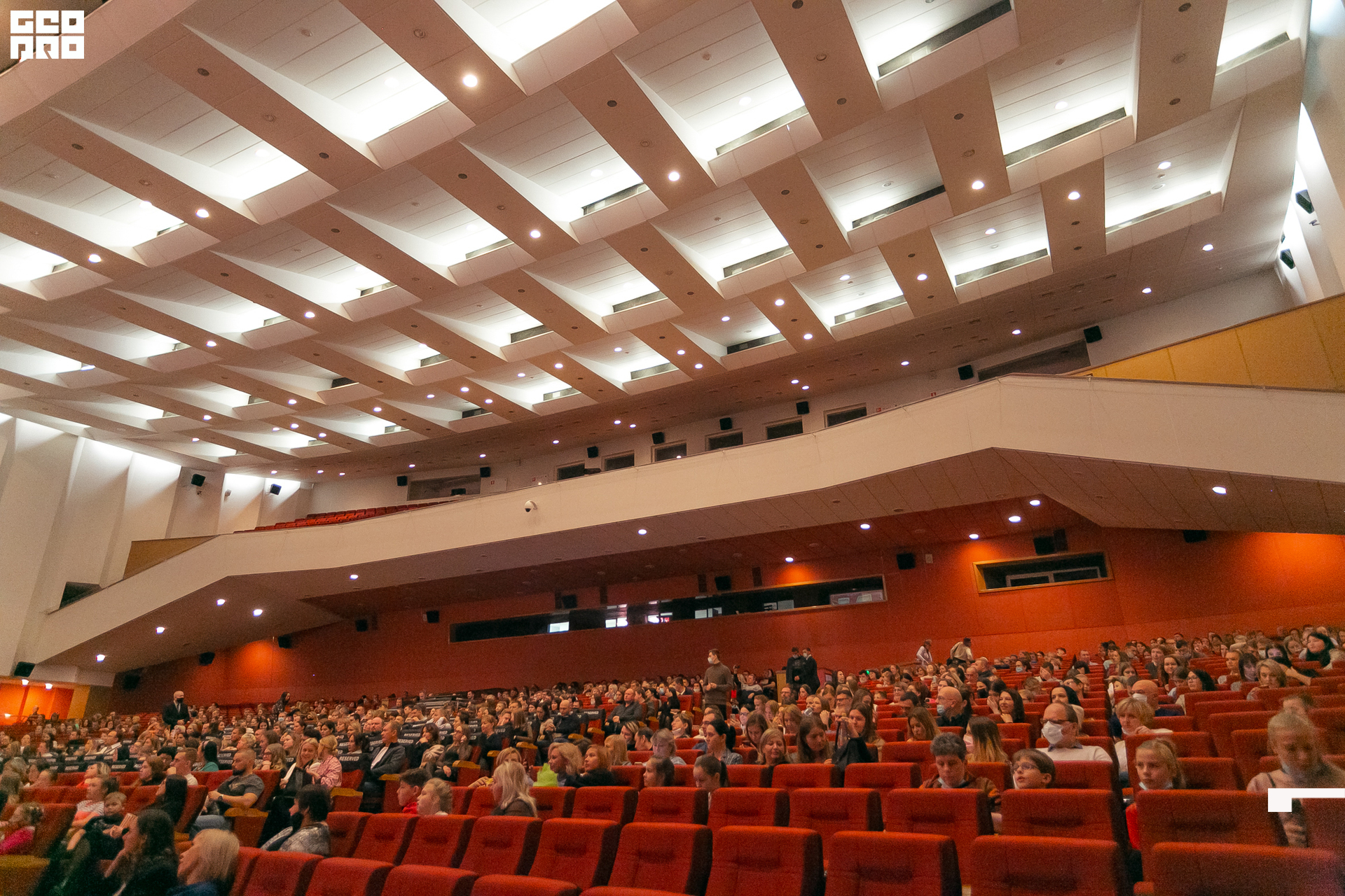 217-20211211-58-11.12.21 - Ёлки.jpg