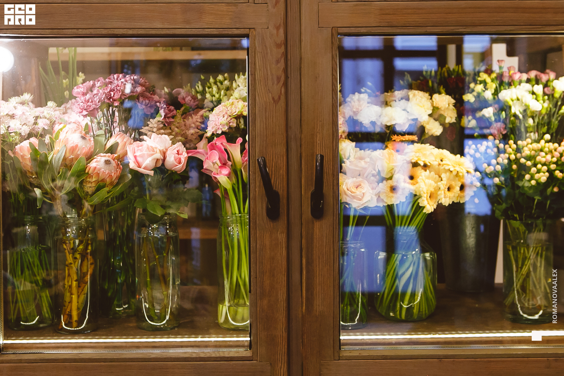 093 210615  202523 _romanovaalex.jpg