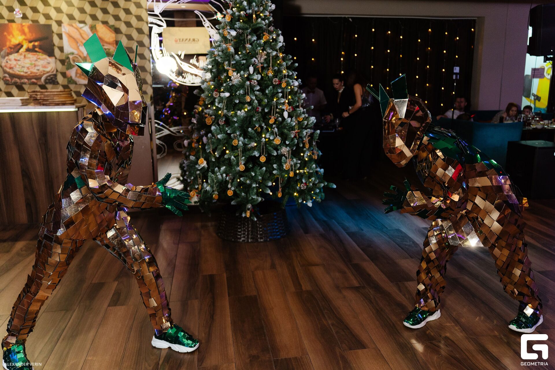 20241231 гранат 0132 AV101776.jpg