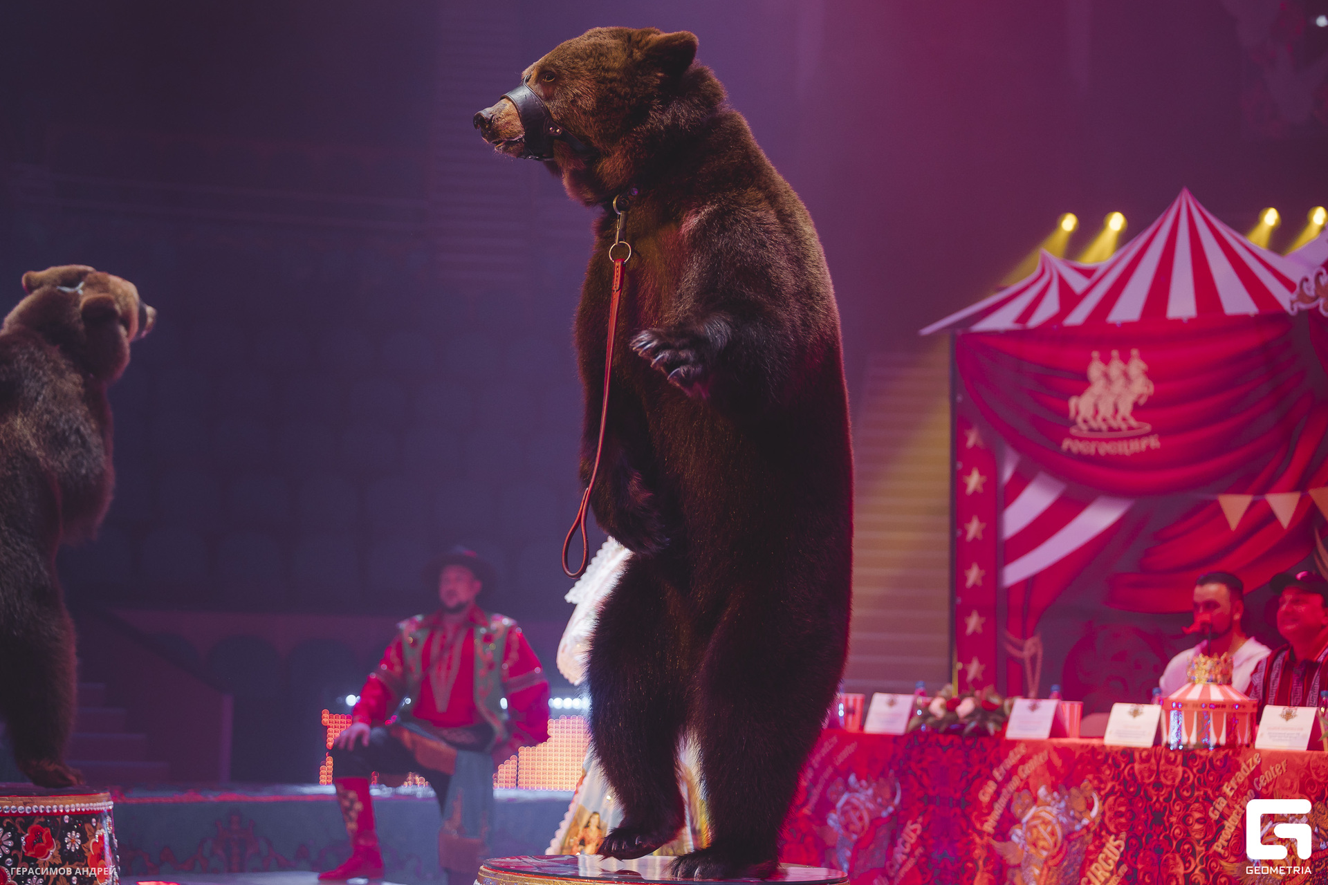 080 Цирк 29. 05.jpg