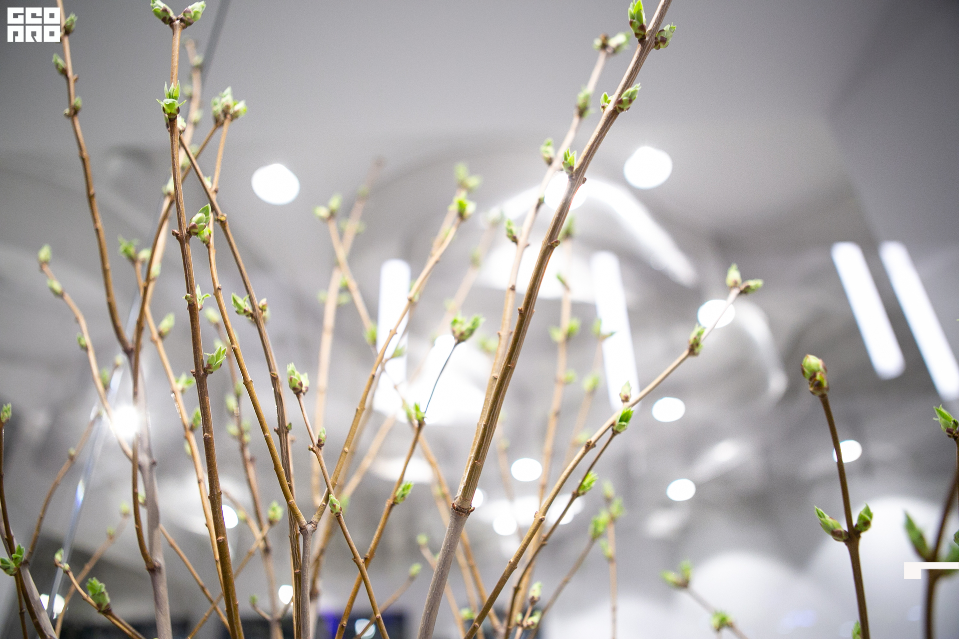 018 030322 211750 .jpg