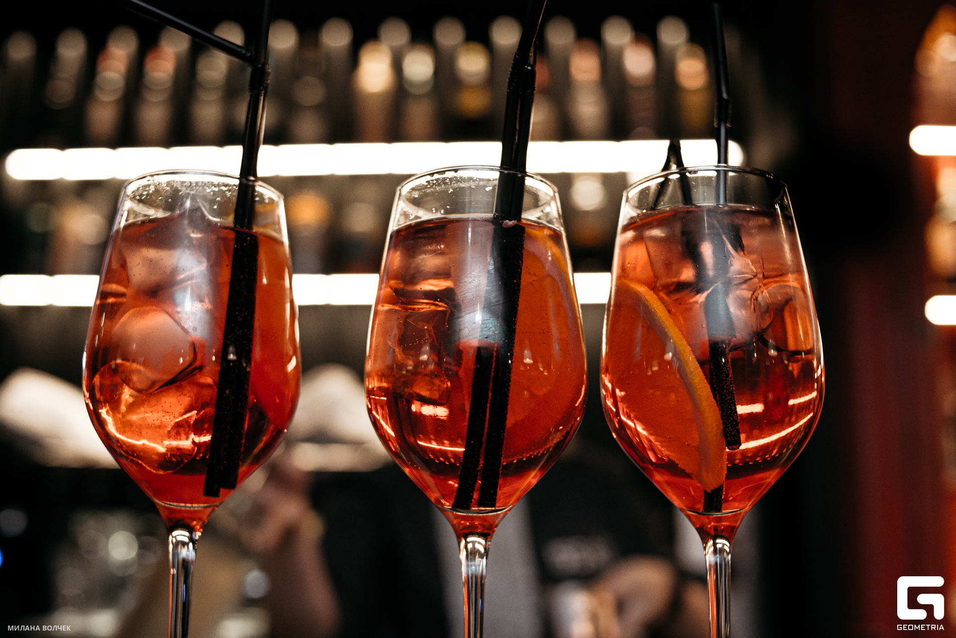 046_20230825 Волчек.jpg